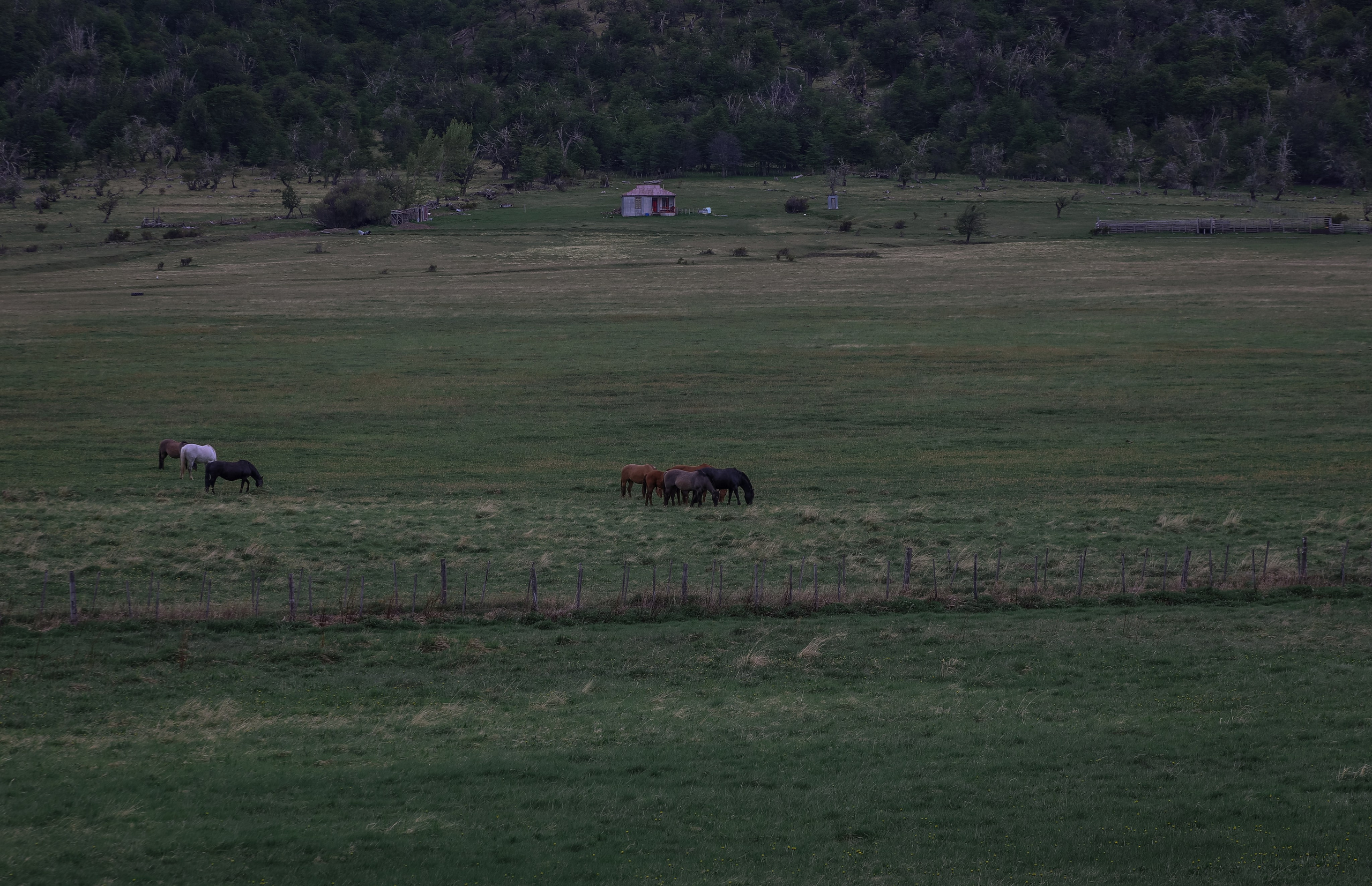 PATAGONIE. Photographe Karen Tatevosian