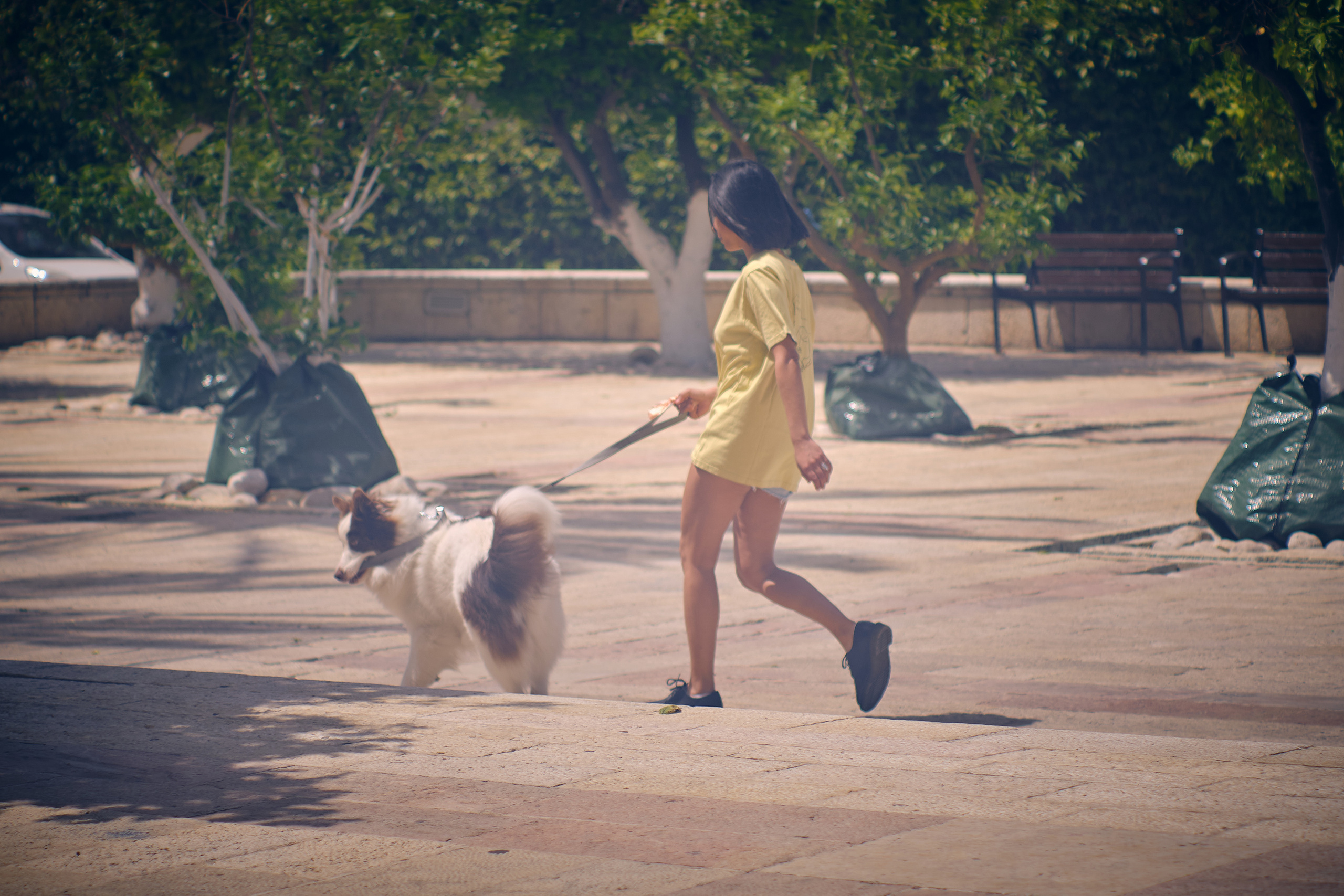 Middle East Photo Agency — Weddings, Bar & Bat Mitzvahs, Brit Milah, Theater, Magnets, Portraits