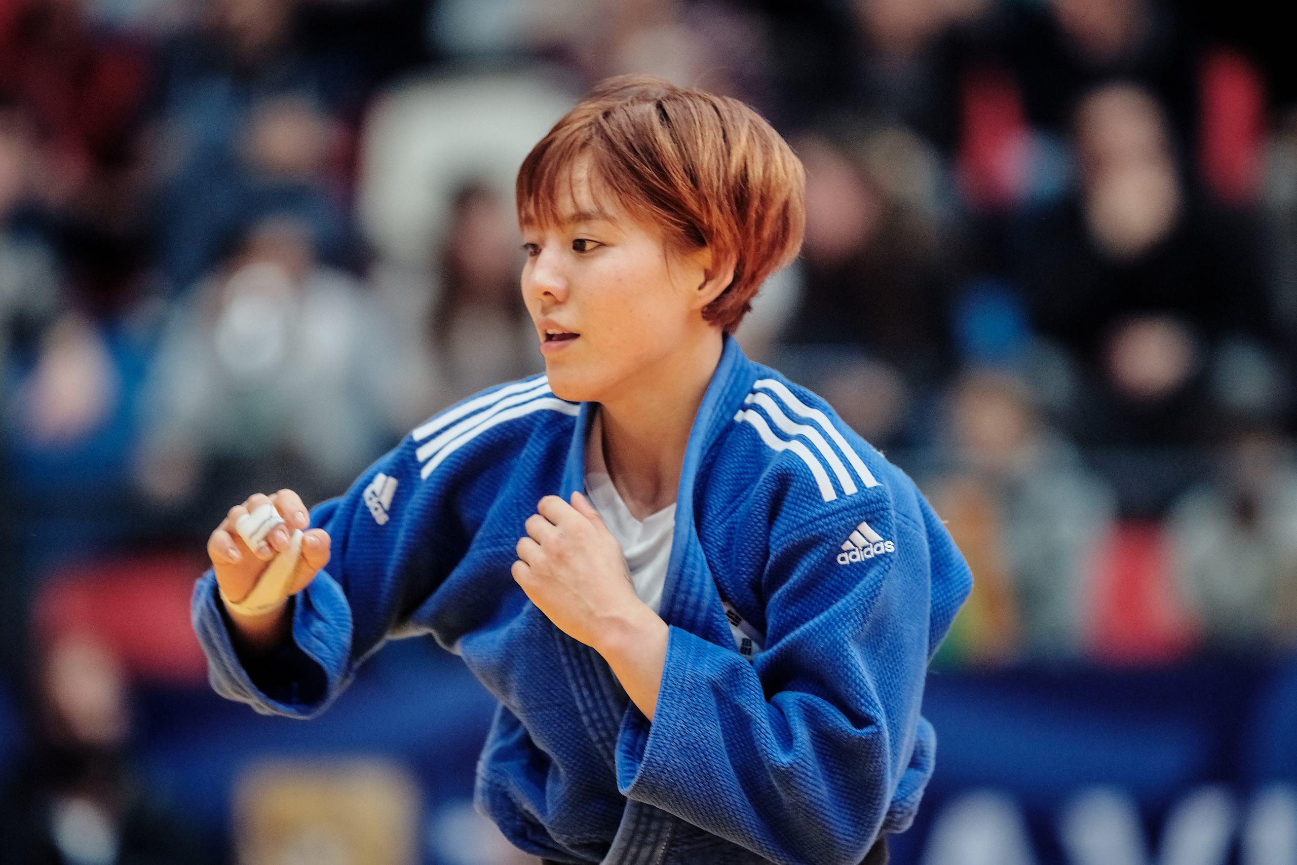 Grand Prix Judo Tel Aviv. Middle East Photo Agency — Weddings, Bar & Bat Mitzvahs, Brit Milah, Theater, Magnets, Portraits