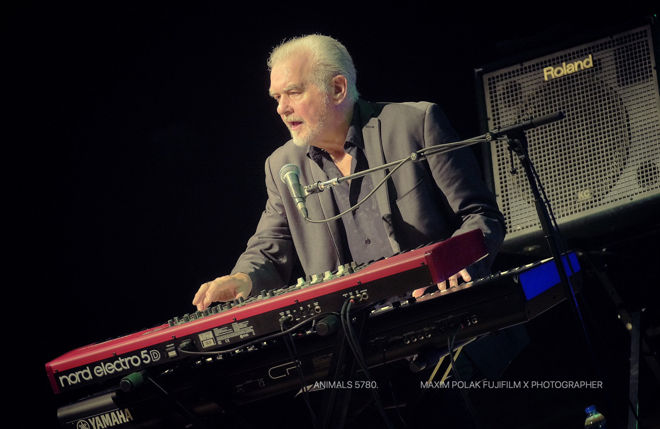 ANIMALS. WORLD TOUR. Middle East Photo Agency — Свадьбы, Бар и Бат-мицва, Брит, Театр, Магниты, Портреты