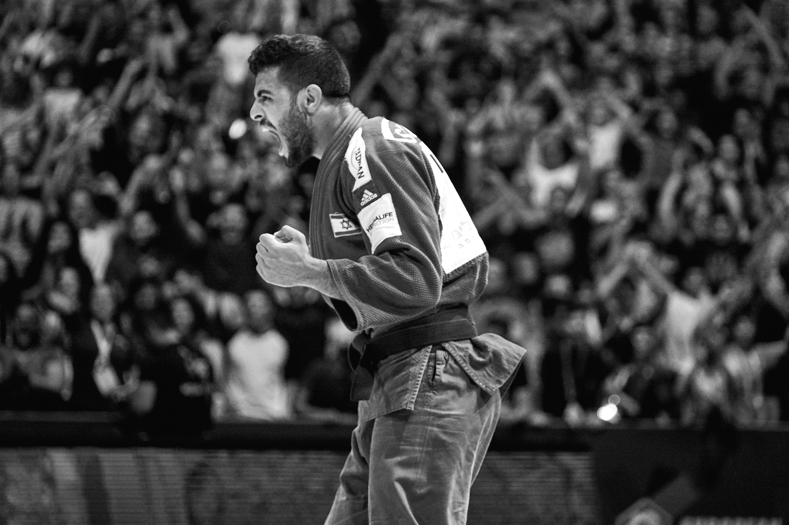 Grand Prix Judo. Middle East Photo Agency — Weddings, Bar & Bat Mitzvahs, Brit Milah, Theater, Magnets, Portraits