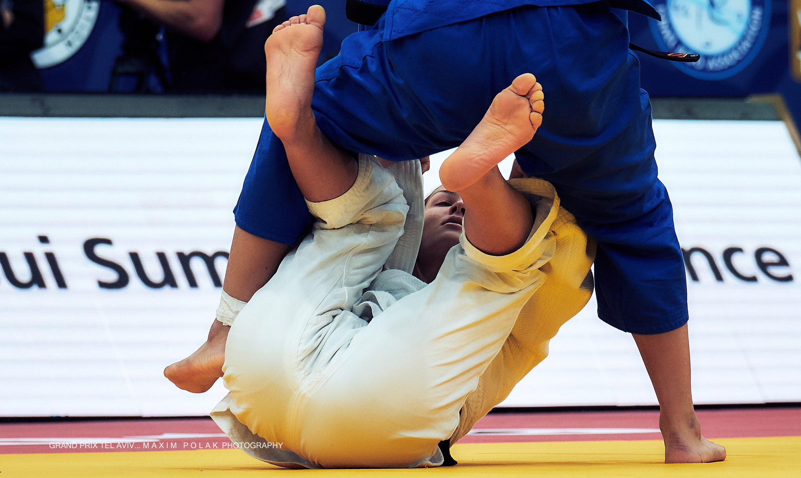 Grand Prix Judo. Middle East Photo Agency — Weddings, Bar & Bat Mitzvahs, Brit Milah, Theater, Magnets, Portraits