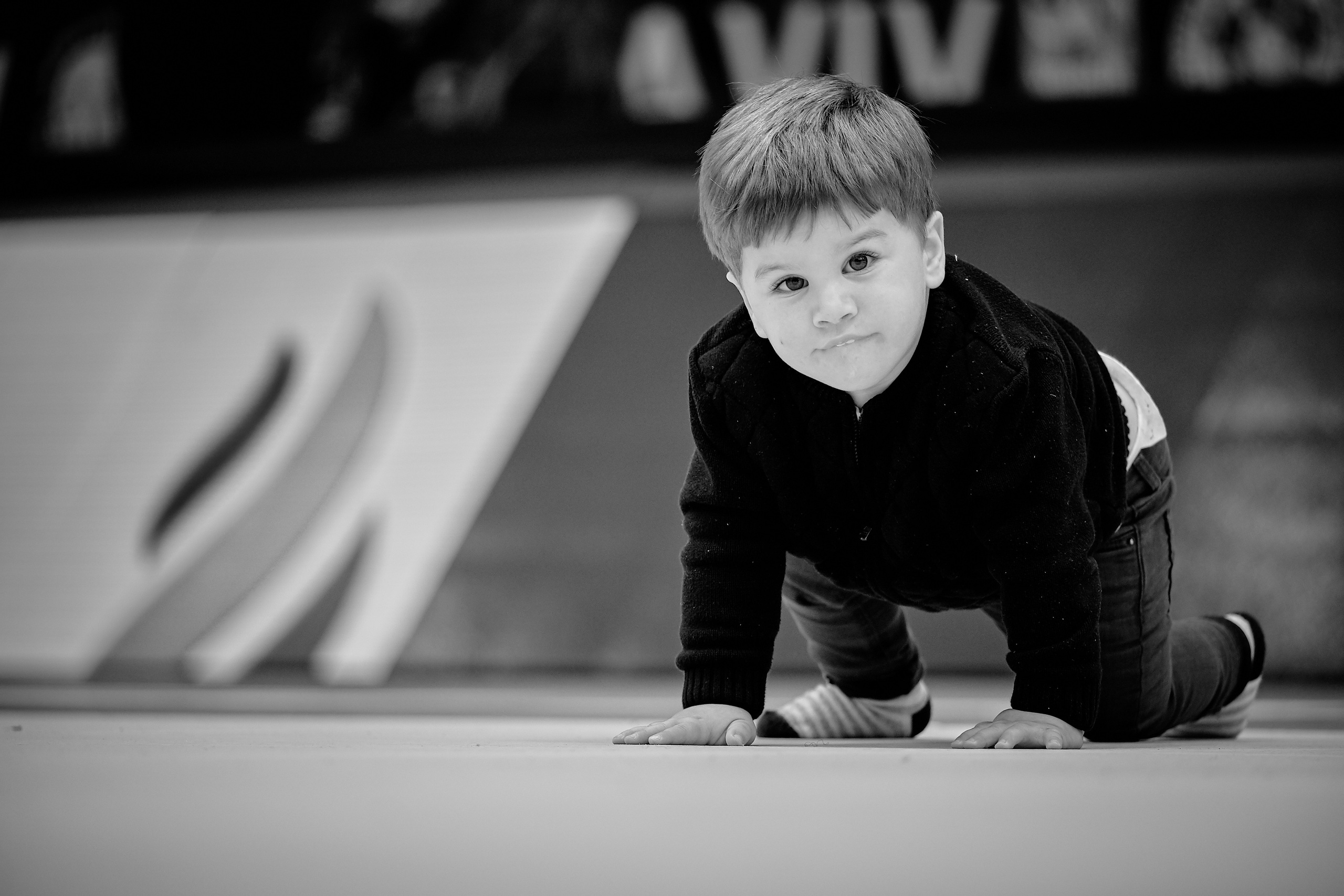 Grand Prix Judo Tel Aviv. Middle East Photo Agency — Weddings, Bar & Bat Mitzvahs, Brit Milah, Theater, Magnets, Portraits
