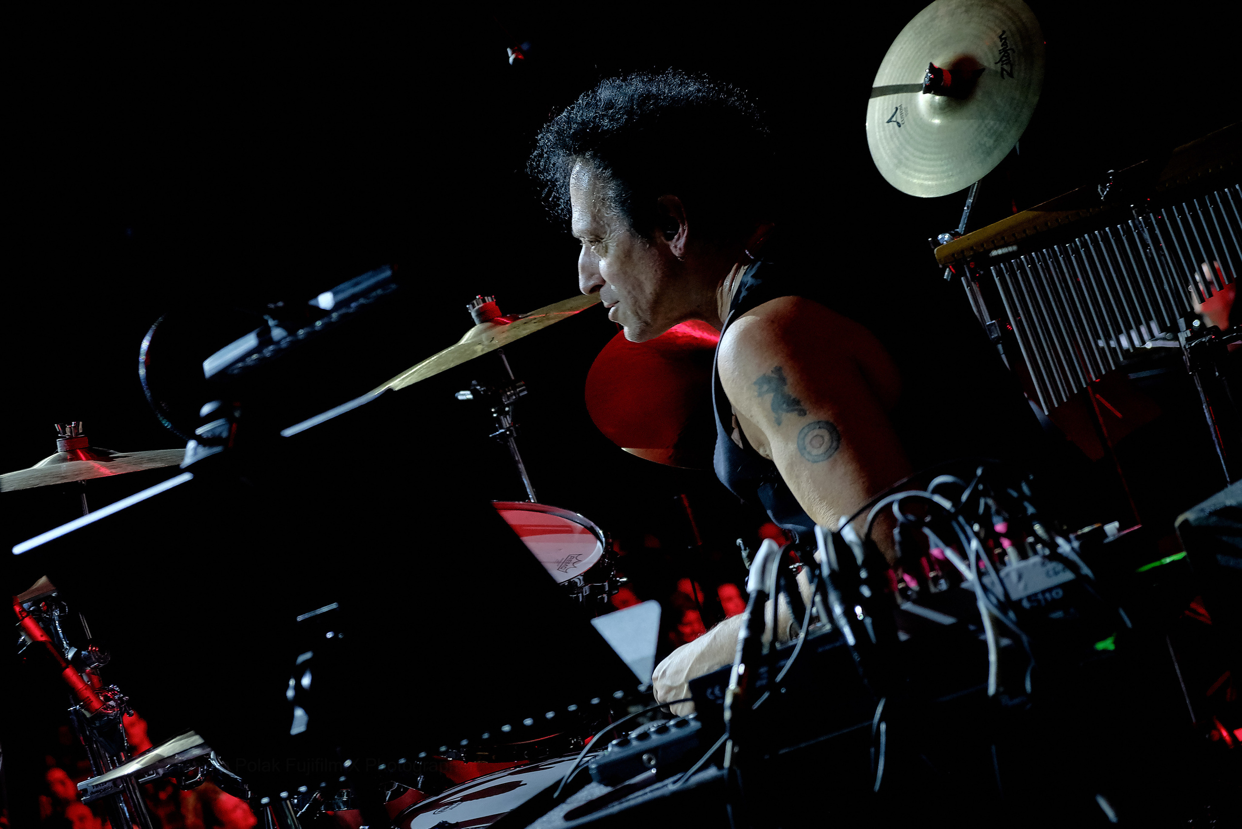 David Bowie and friends… World Tour. Middle East Photo Agency — Свадьбы, Бар и Бат-мицва, Брит, Театр, Магниты, Портреты