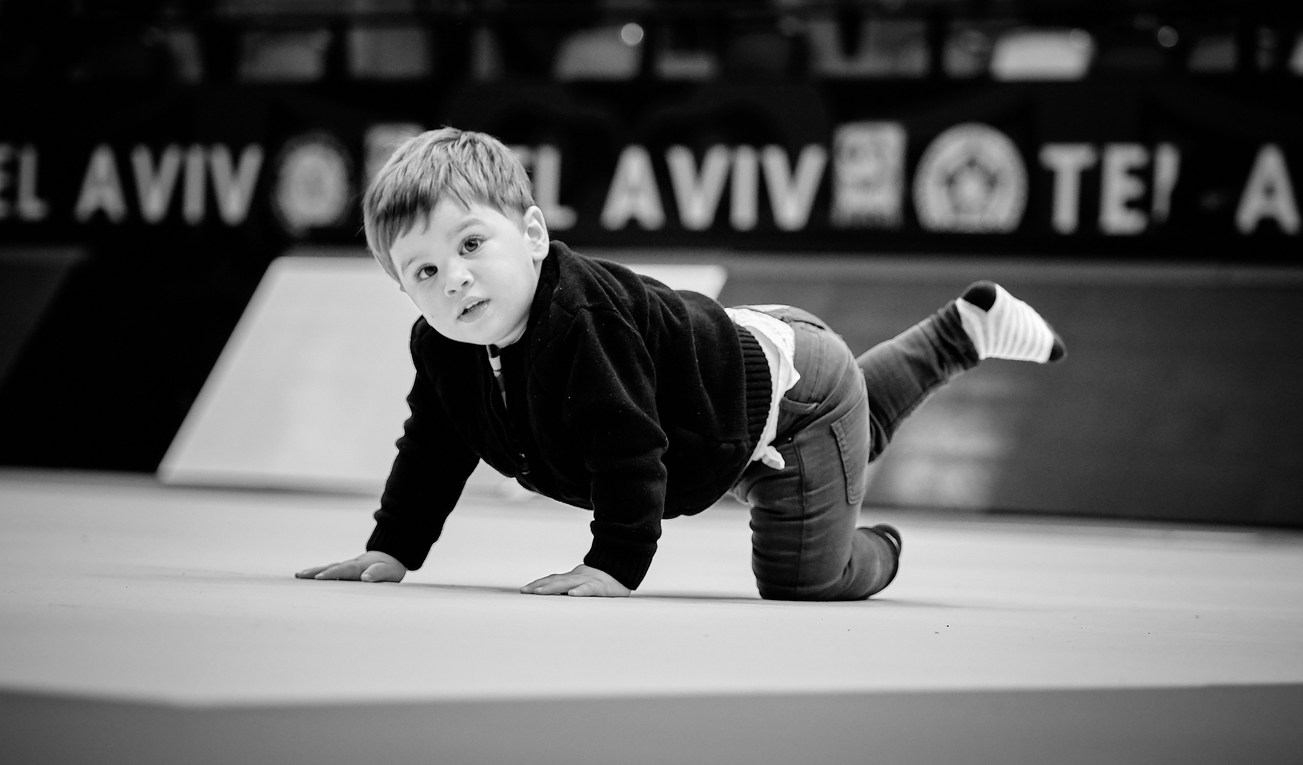 Grand Prix Judo Tel Aviv. Middle East Photo Agency — Weddings, Bar & Bat Mitzvahs, Brit Milah, Theater, Magnets, Portraits