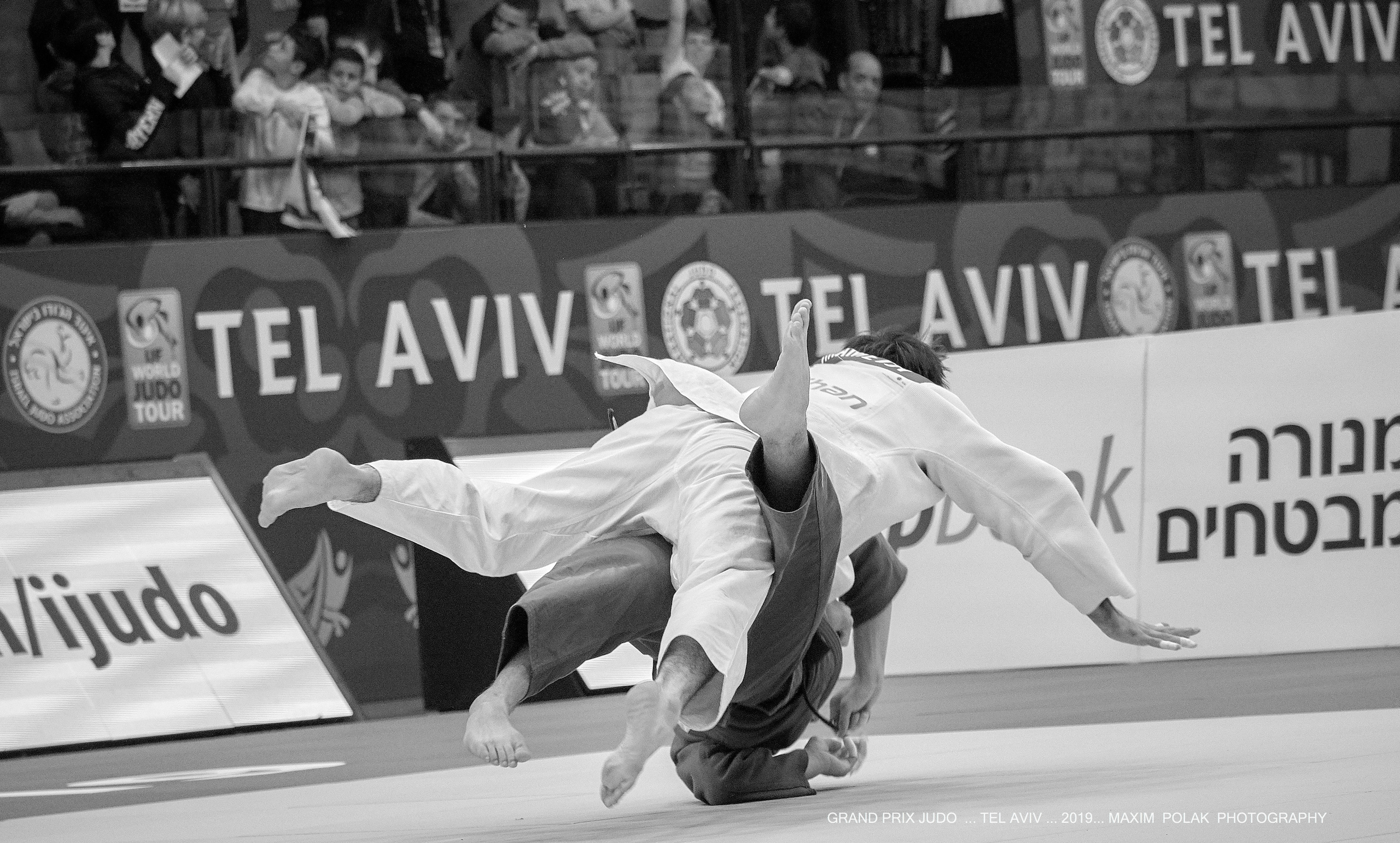 Grand Prix Judo. Middle East Photo Agency — Weddings, Bar & Bat Mitzvahs, Brit Milah, Theater, Magnets, Portraits
