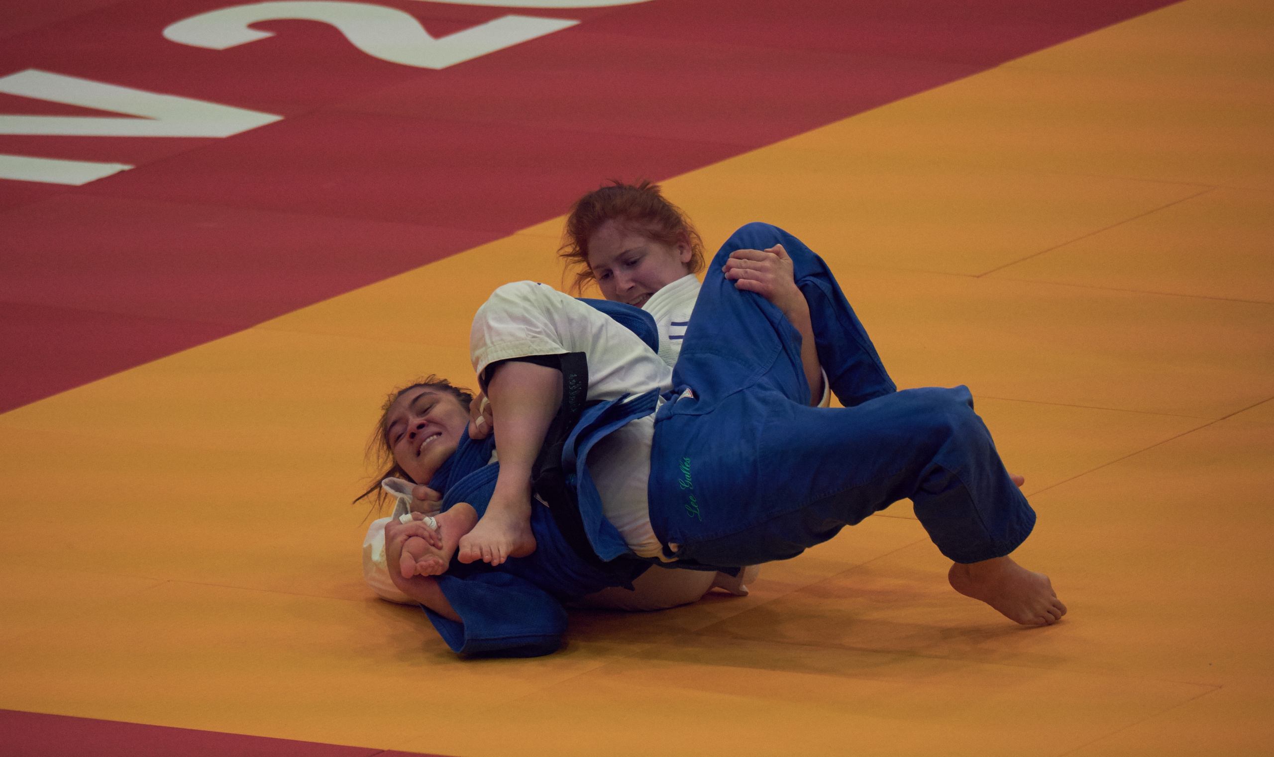 Grand Prix Judo. Middle East Photo Agency — Weddings, Bar & Bat Mitzvahs, Brit Milah, Theater, Magnets, Portraits