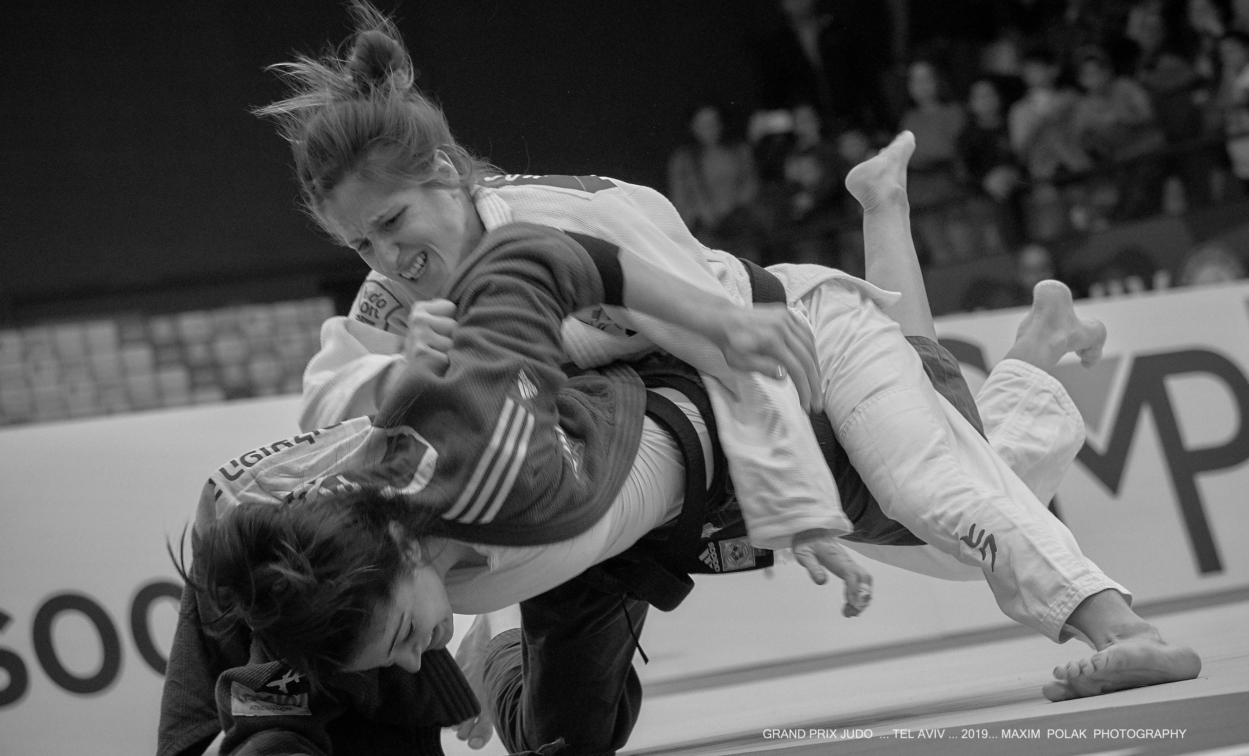 Grand Prix Judo. Middle East Photo Agency — Weddings, Bar & Bat Mitzvahs, Brit Milah, Theater, Magnets, Portraits