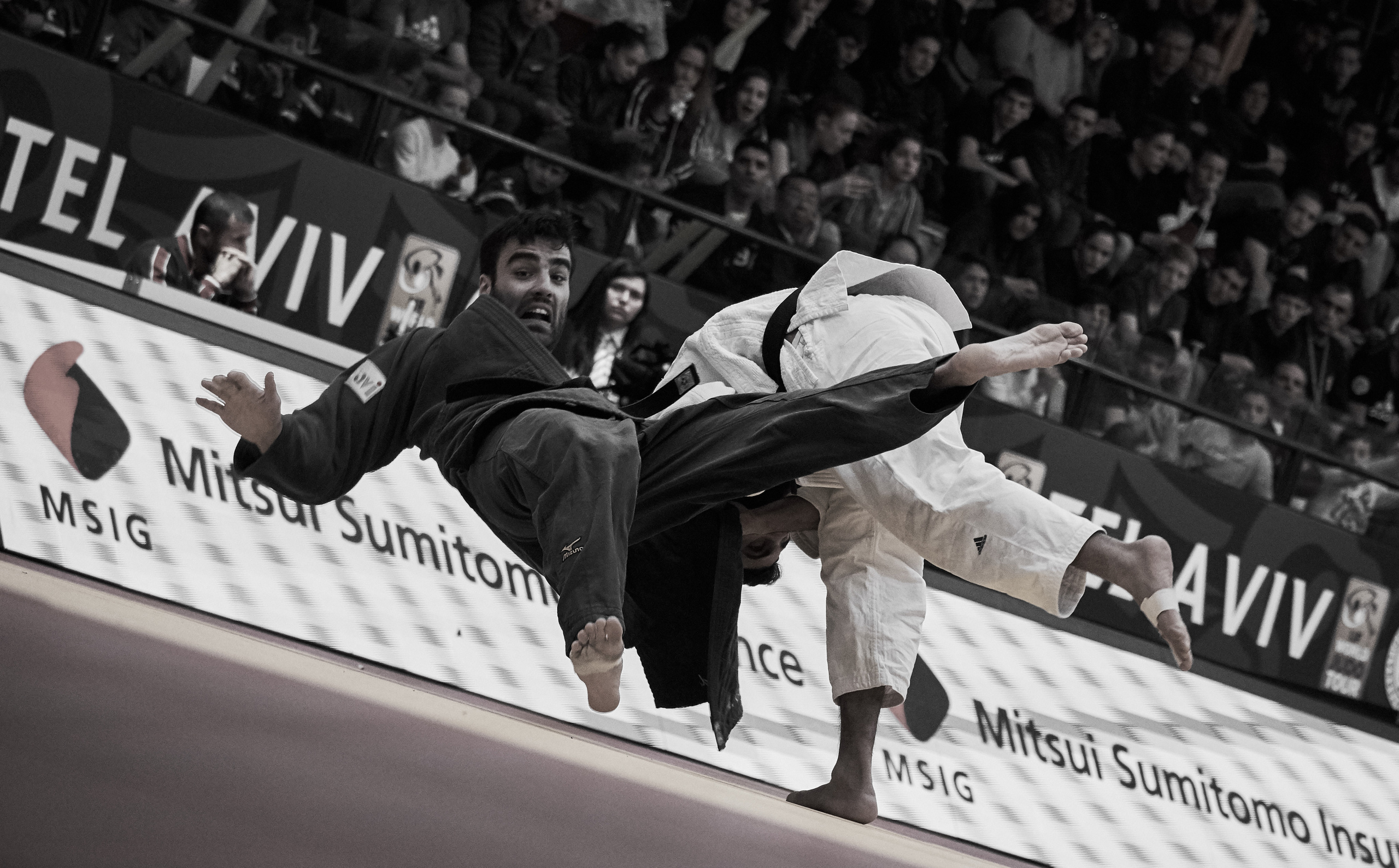 Grand Prix Judo. Middle East Photo Agency — Свадьбы, Бар и Бат-мицва, Брит, Театр, Магниты, Портреты