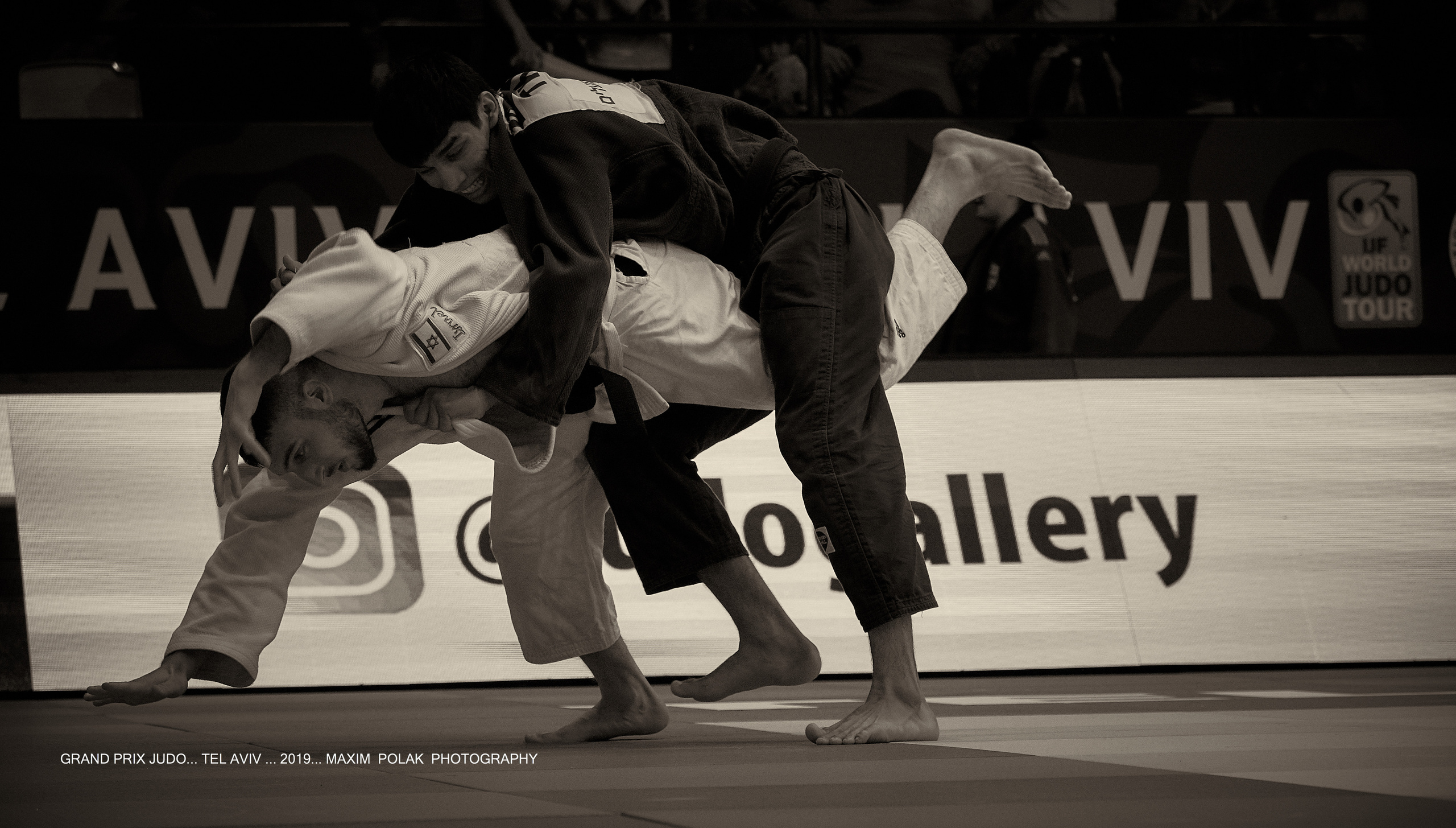 Grand Prix Judo. Middle East Photo Agency — Weddings, Bar & Bat Mitzvahs, Brit Milah, Theater, Magnets, Portraits