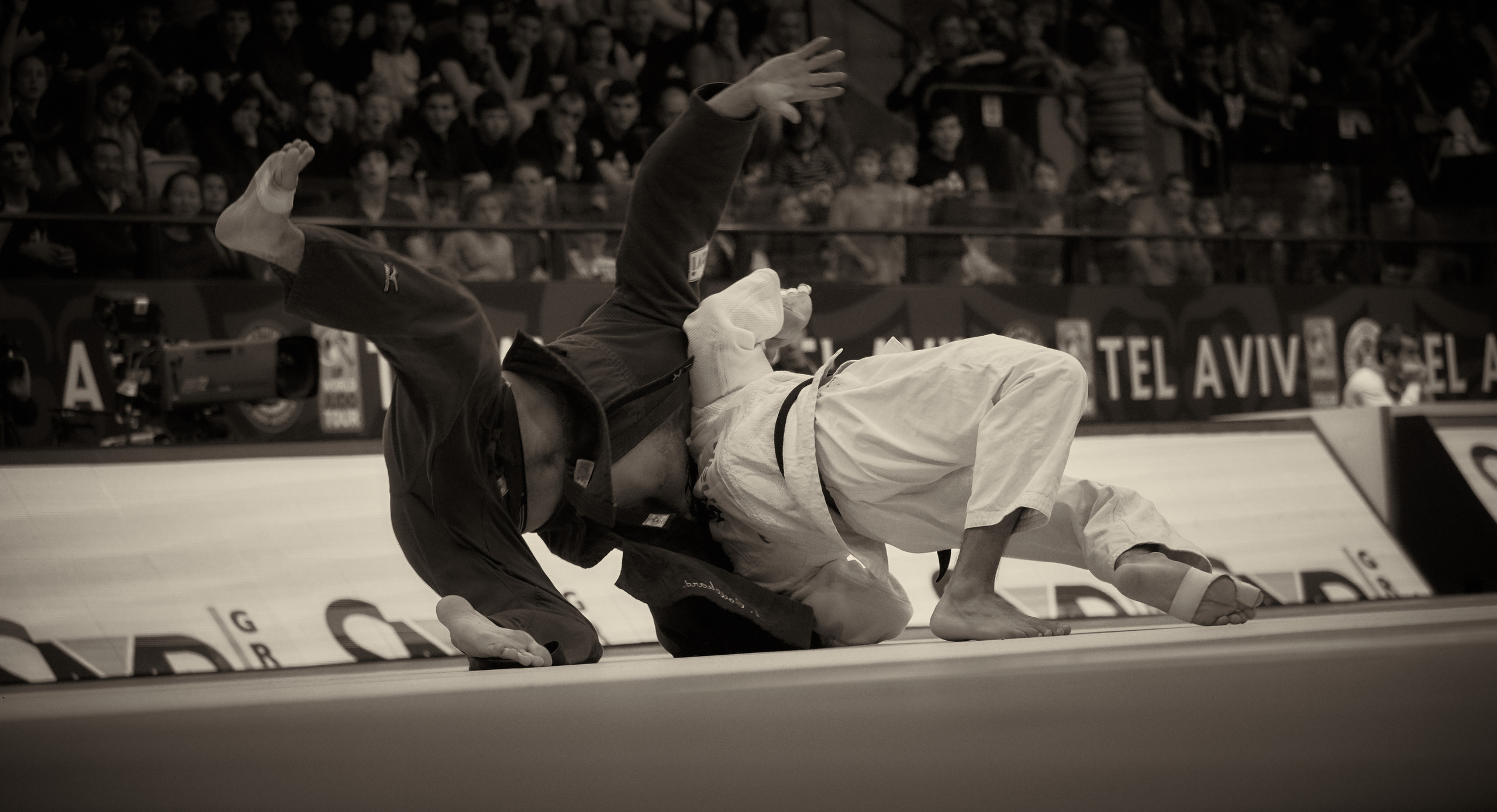 Grand Prix Judo. Middle East Photo Agency — Weddings, Bar & Bat Mitzvahs, Brit Milah, Theater, Magnets, Portraits