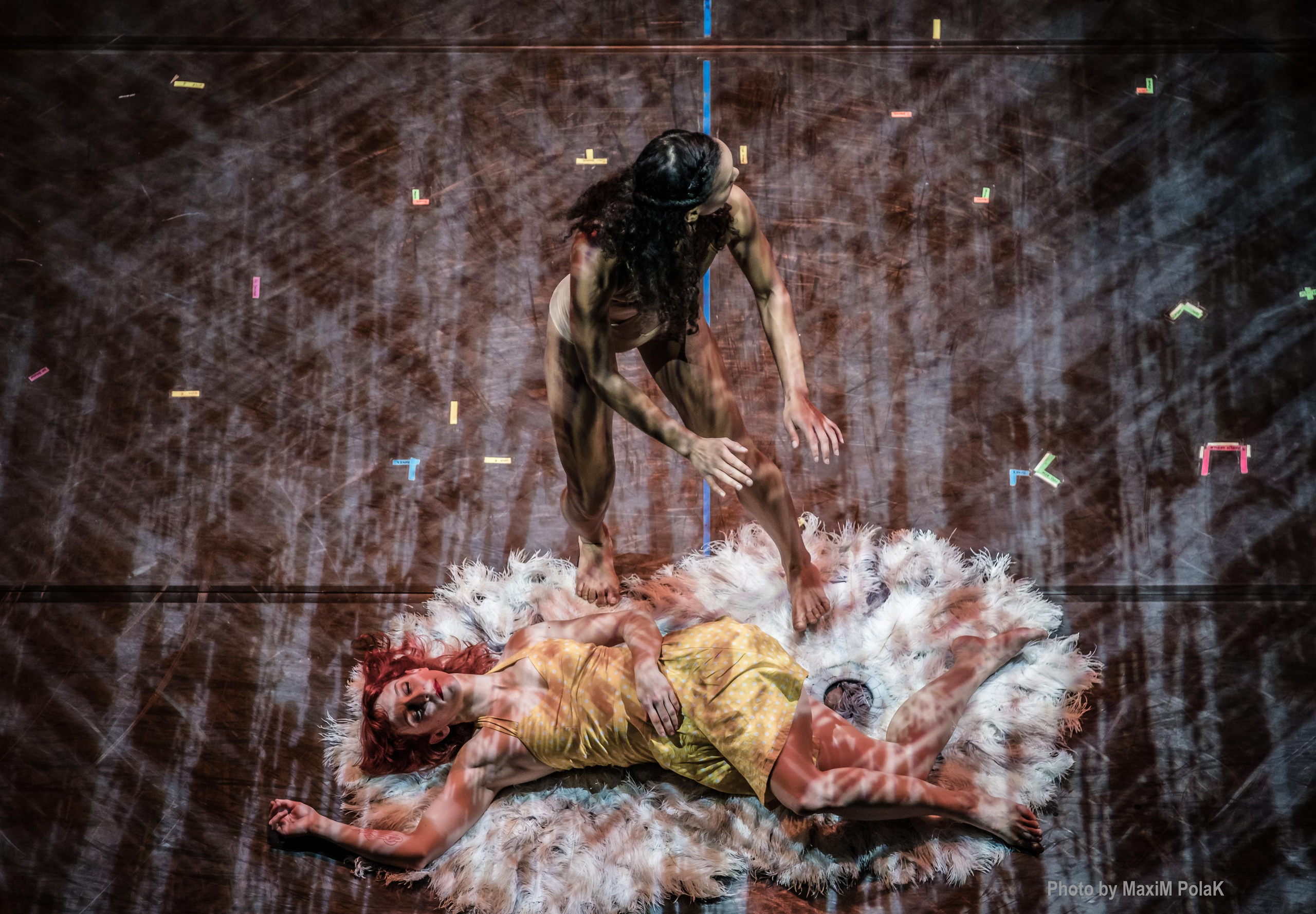 Pilobolus. USA. Middle East Photo Agency — Weddings, Bar & Bat Mitzvahs, Brit Milah, Theater, Magnets, Portraits