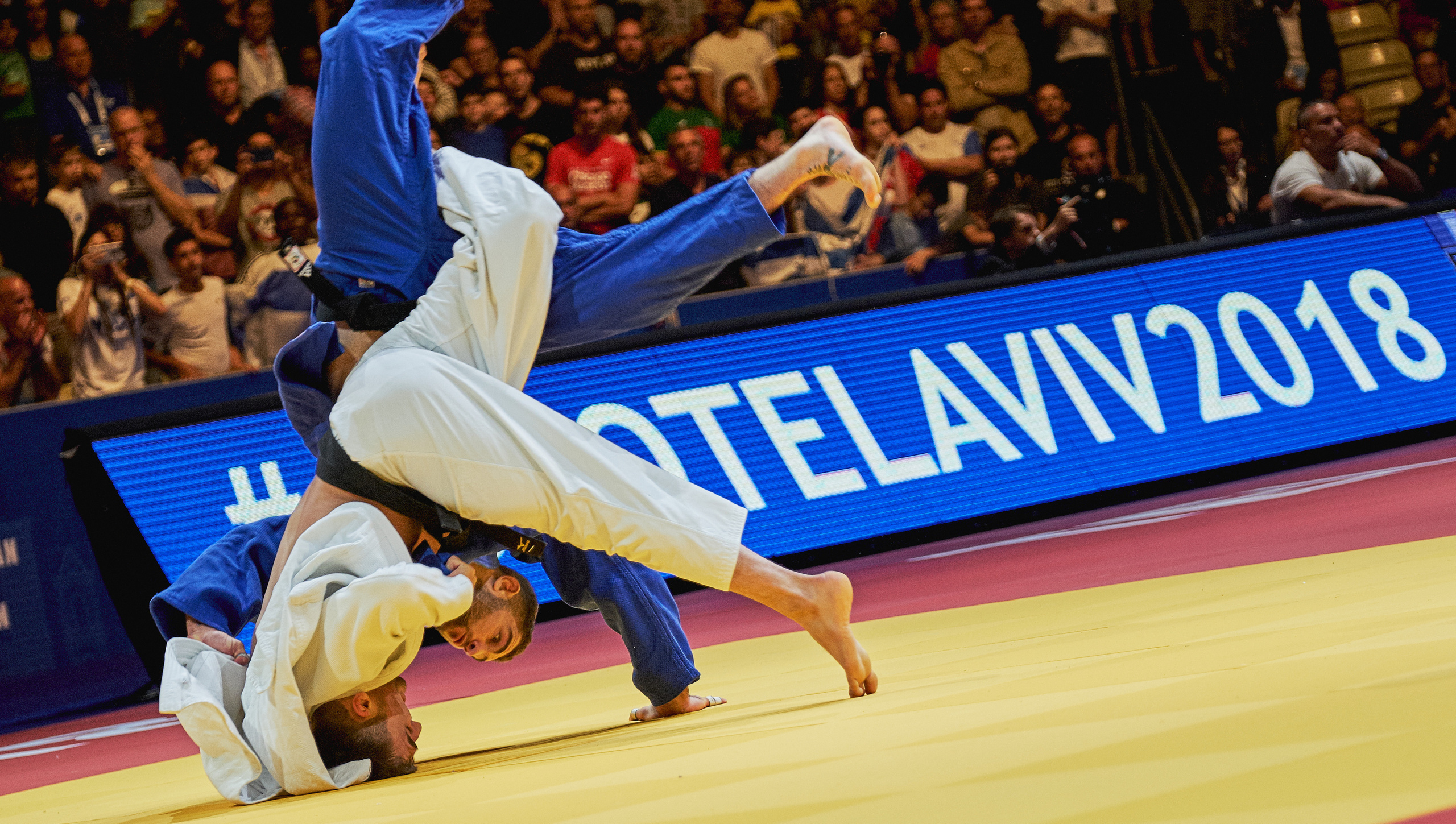 Grand Prix Judo Peter Paltchik. Middle East Photo Agency — Weddings, Bar & Bat Mitzvahs, Brit Milah, Theater, Magnets, Portraits