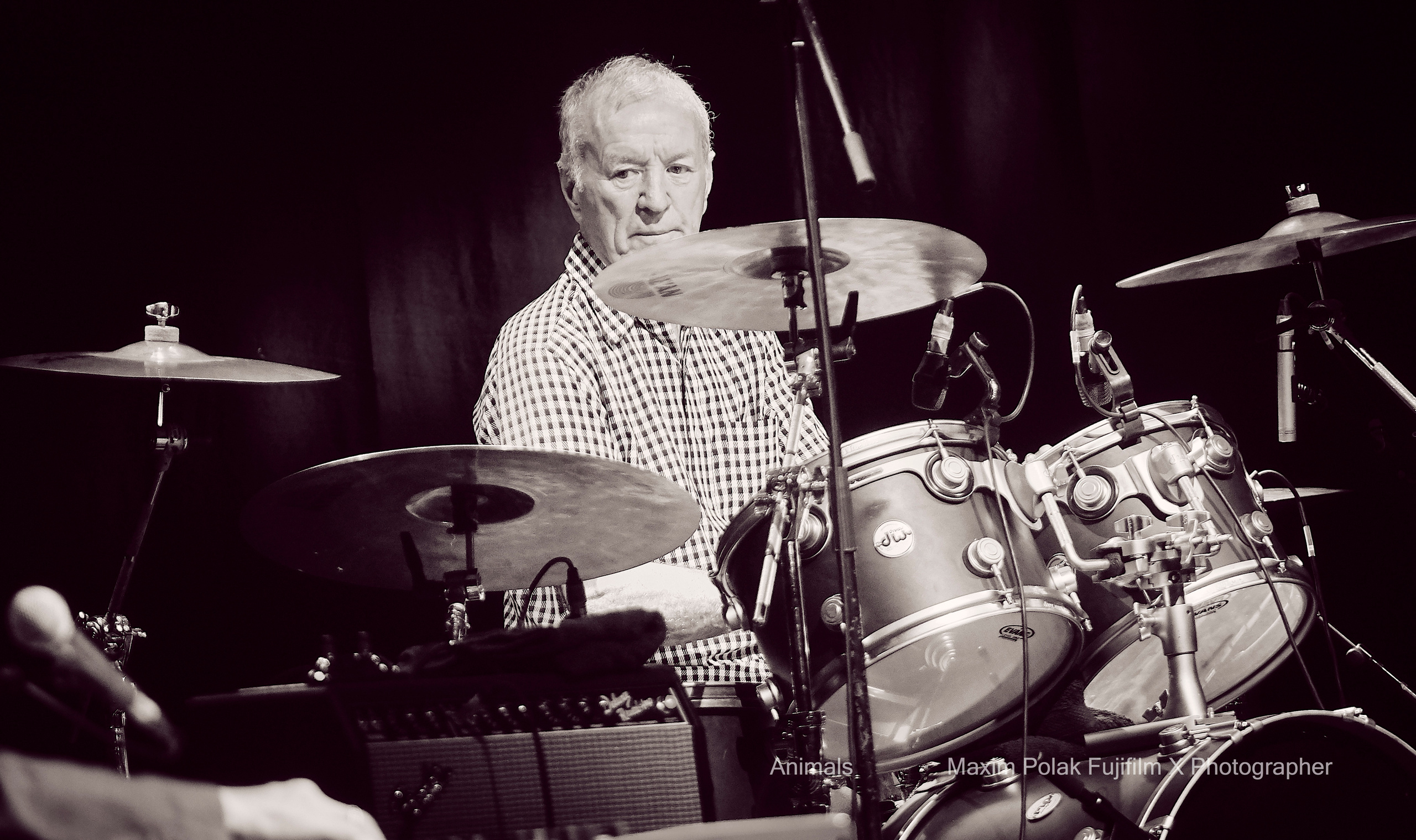 ANIMALS. WORLD TOUR. Middle East Photo Agency — Свадьбы, Бар и Бат-мицва, Брит, Театр, Магниты, Портреты