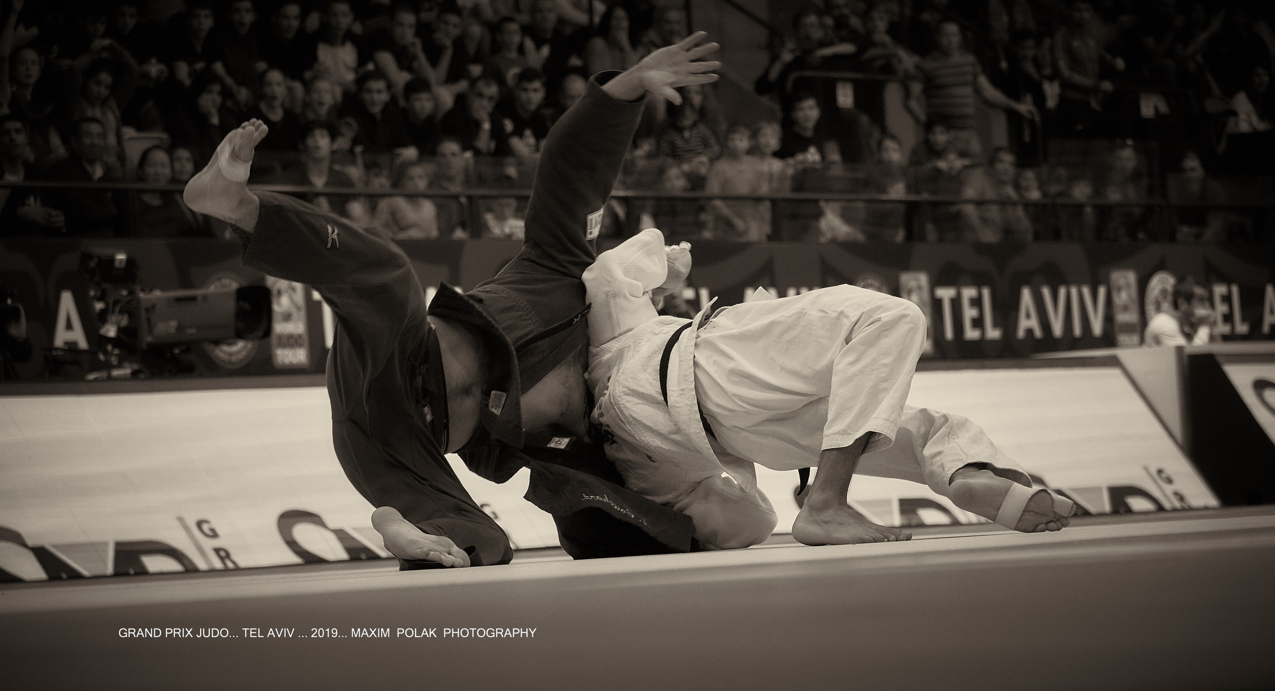 Grand Prix Judo. Middle East Photo Agency — Weddings, Bar & Bat Mitzvahs, Brit Milah, Theater, Magnets, Portraits