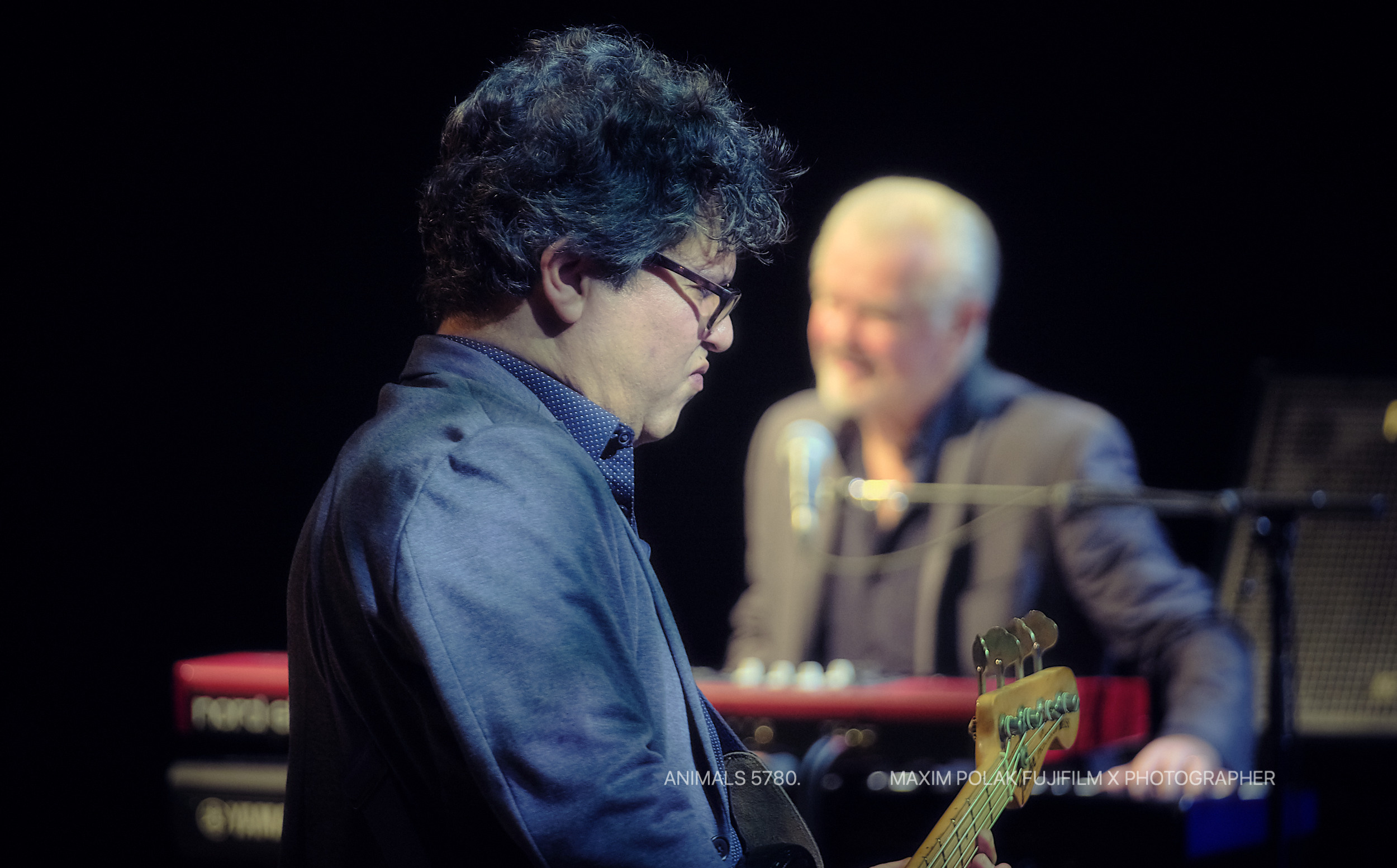 ANIMALS. WORLD TOUR. Middle East Photo Agency — Свадьбы, Бар и Бат-мицва, Брит, Театр, Магниты, Портреты