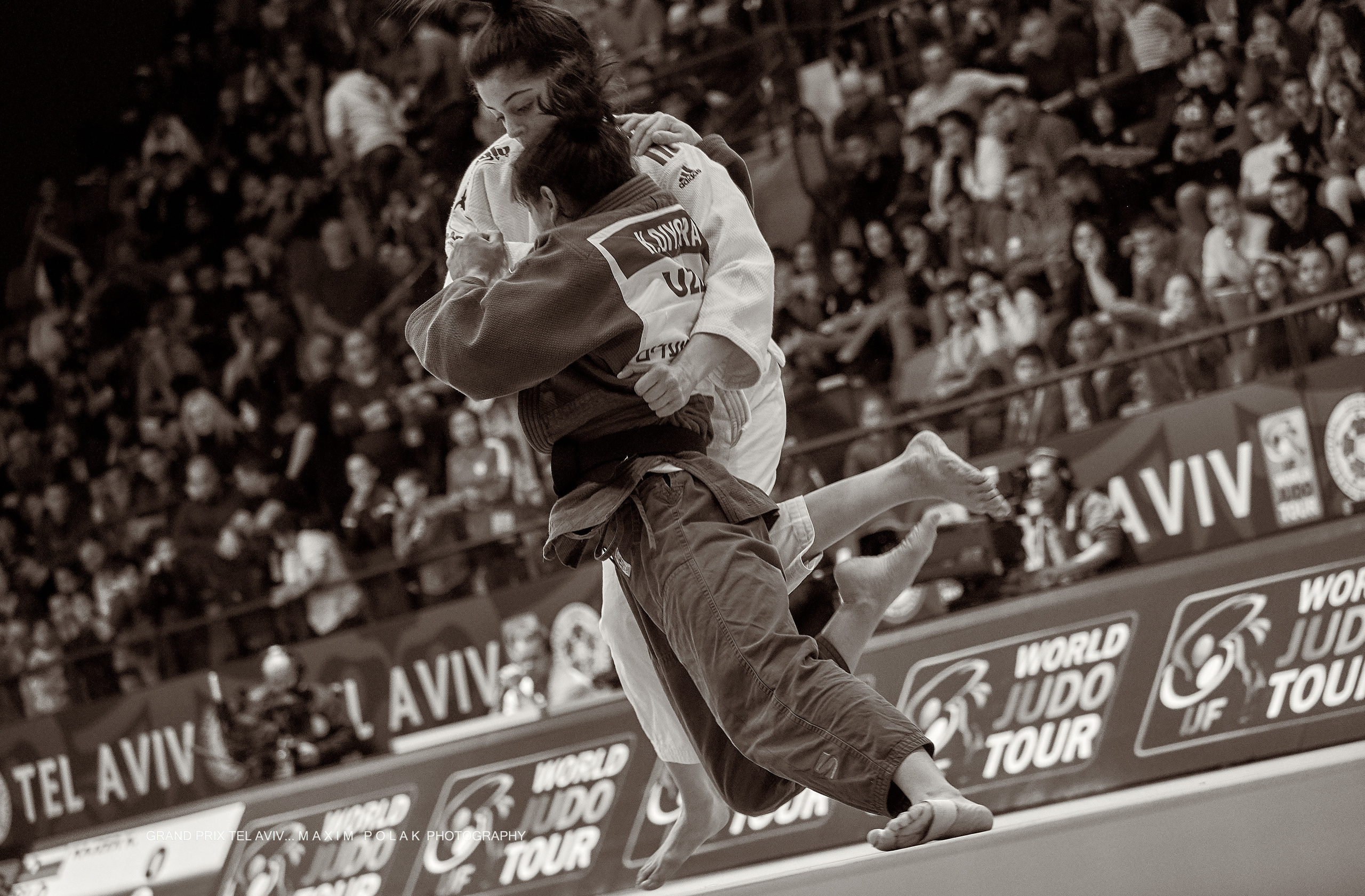 Grand Prix Judo. Middle East Photo Agency — Weddings, Bar & Bat Mitzvahs, Brit Milah, Theater, Magnets, Portraits