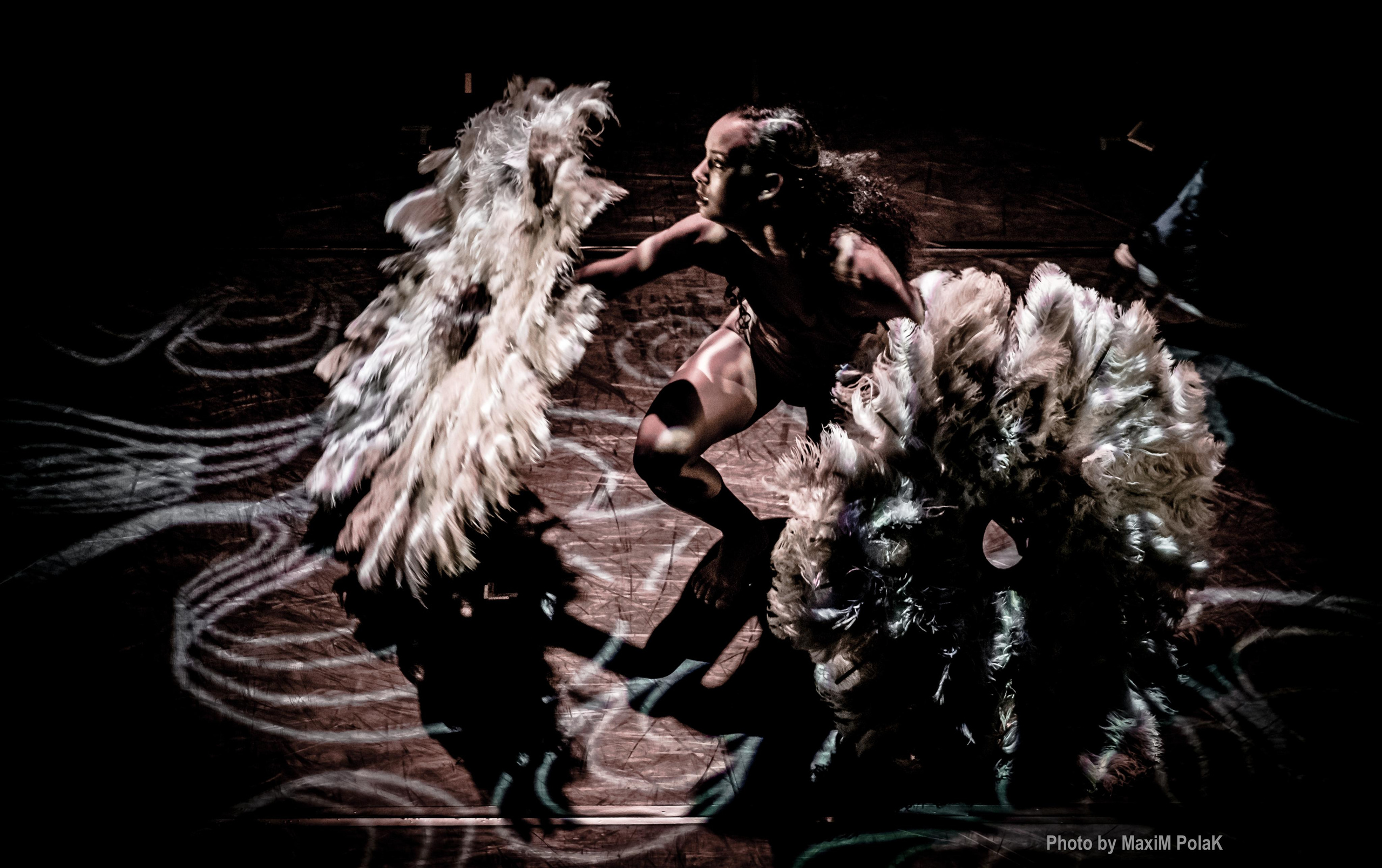 Pilobolus. USA. Middle East Photo Agency — Weddings, Bar & Bat Mitzvahs, Brit Milah, Theater, Magnets, Portraits