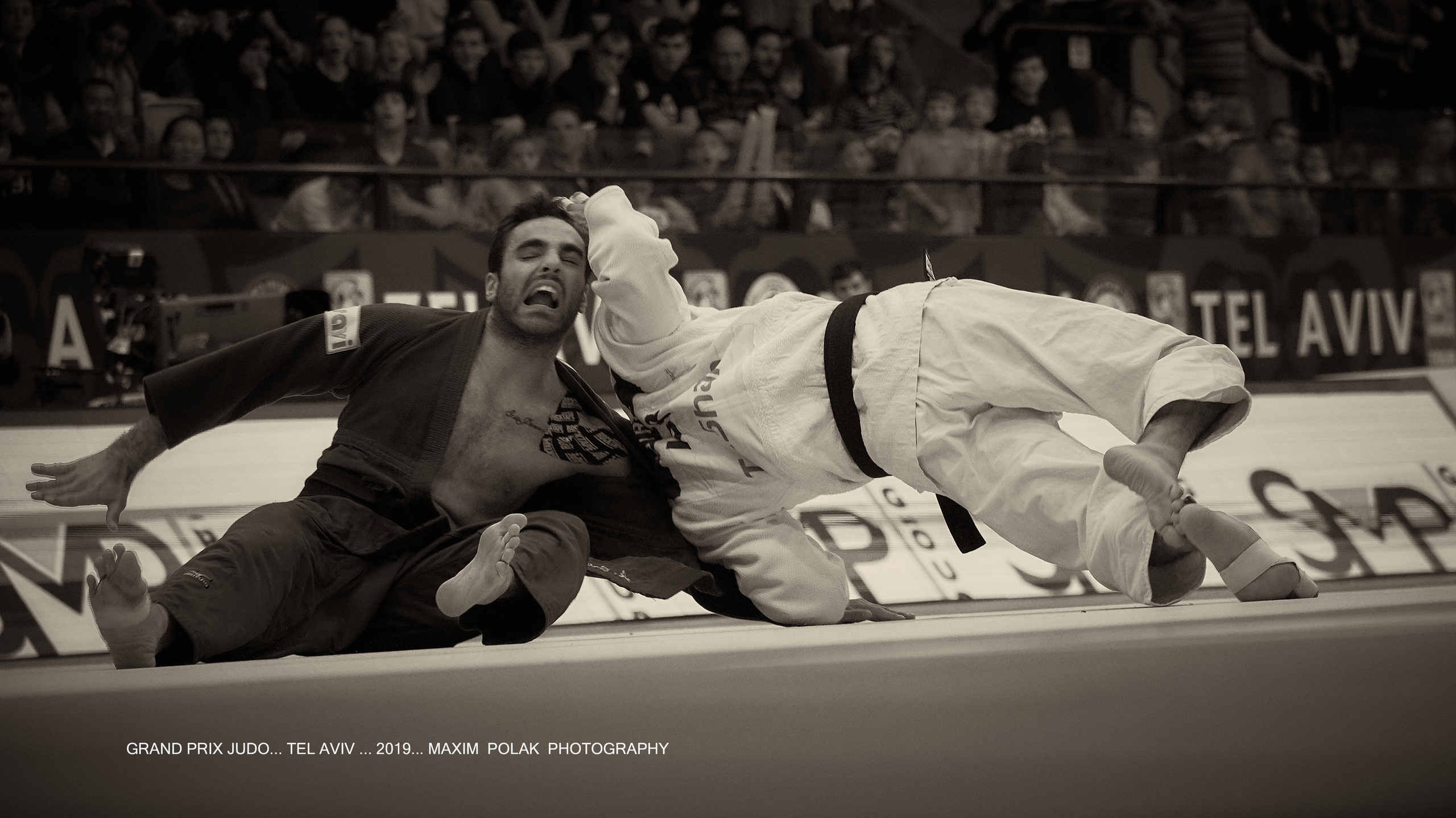 Grand Prix Judo. Middle East Photo Agency — Weddings, Bar & Bat Mitzvahs, Brit Milah, Theater, Magnets, Portraits