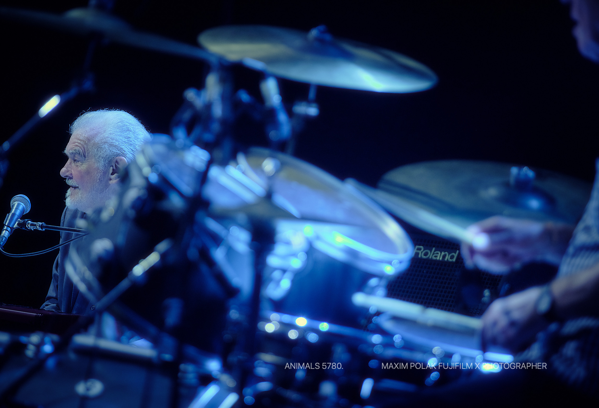 ANIMALS. WORLD TOUR. Middle East Photo Agency — Свадьбы, Бар и Бат-мицва, Брит, Театр, Магниты, Портреты