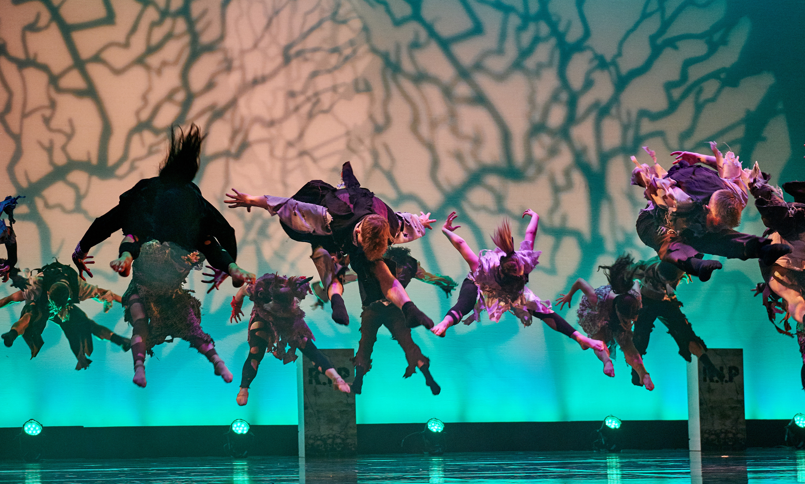 ODYSSEY DANCE THEATER. USA. Middle East Photo Agency — Свадьбы, Бар и Бат-мицва, Брит, Театр, Магниты, Портреты