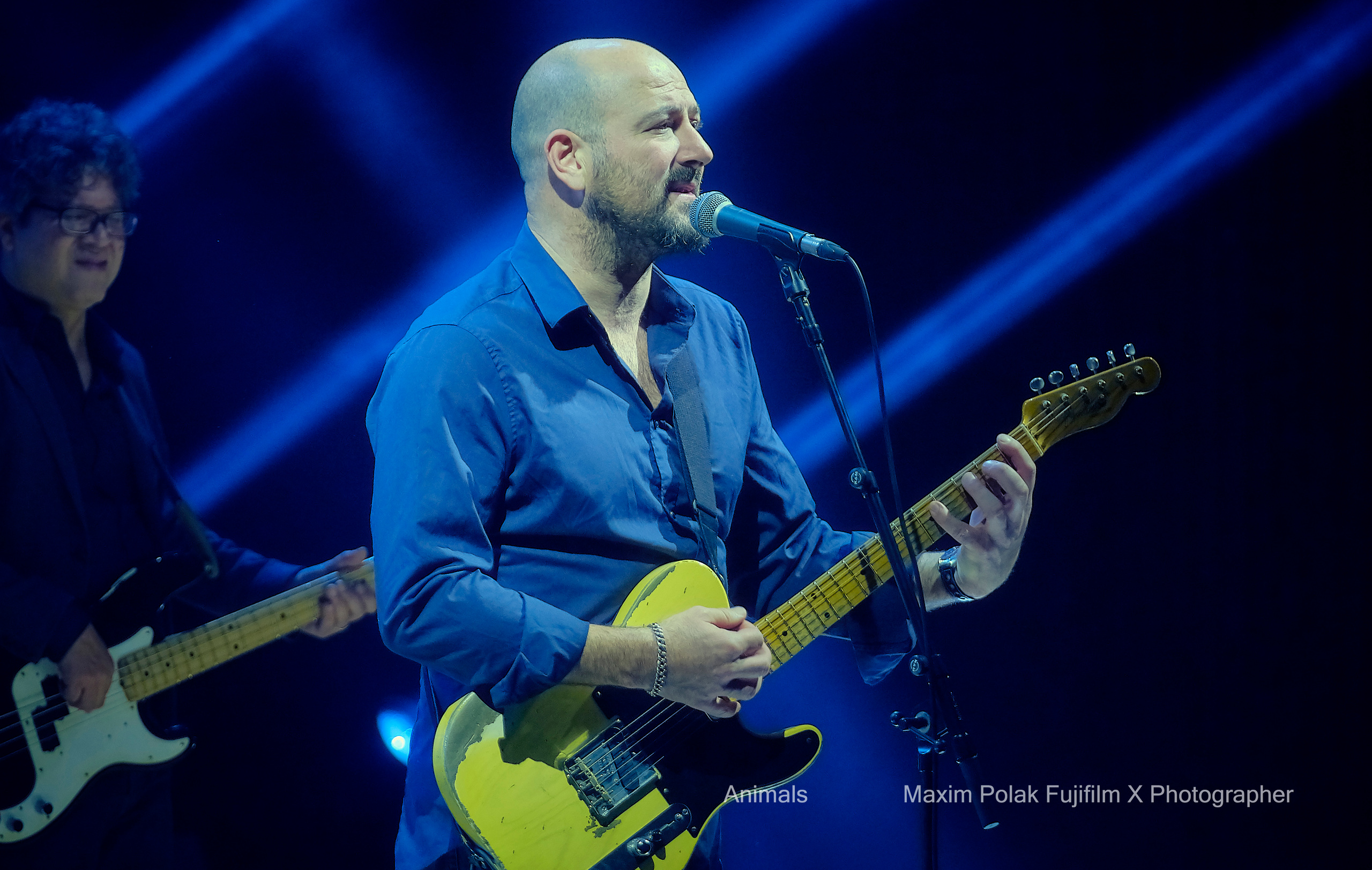 ANIMALS. WORLD TOUR. Middle East Photo Agency — Свадьбы, Бар и Бат-мицва, Брит, Театр, Магниты, Портреты