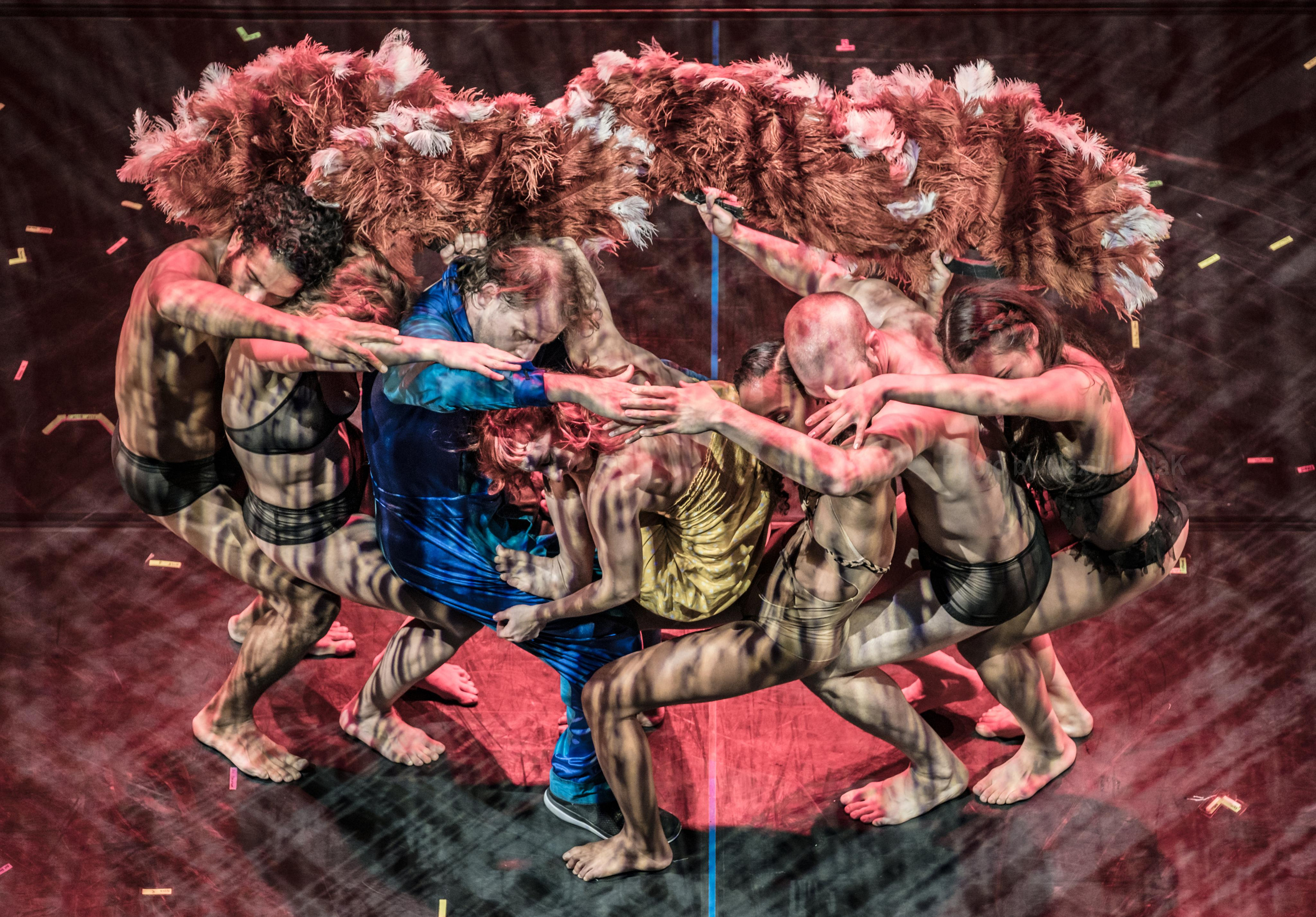 Pilobolus. USA. Middle East Photo Agency — Weddings, Bar & Bat Mitzvahs, Brit Milah, Theater, Magnets, Portraits