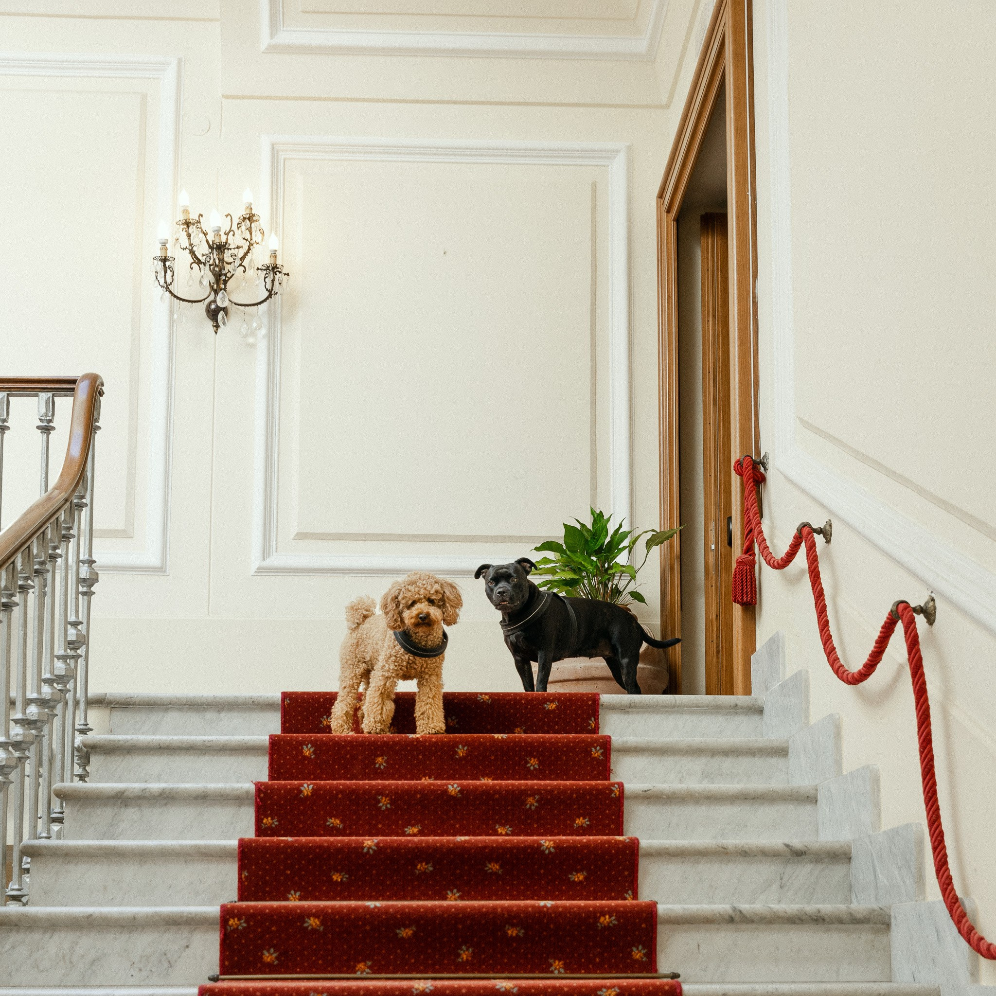 GRAND HOTEL TELESE. Elizaveta Razumova | Fotografa Cinematica per Love Story, Matrimoni e Ritratti