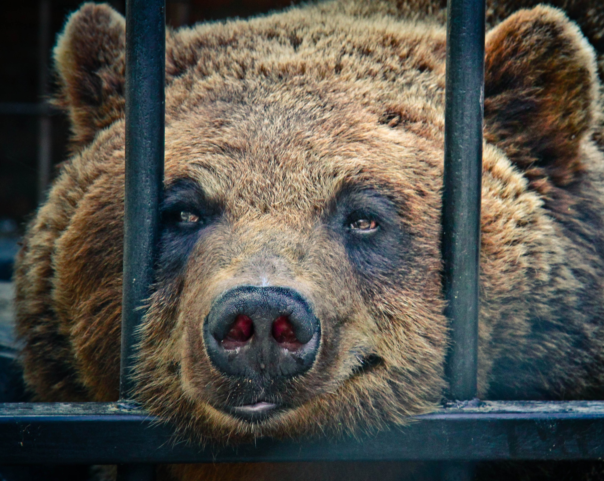 2012. Стрит-фотография, полная абсурда, идиотизма и красоты