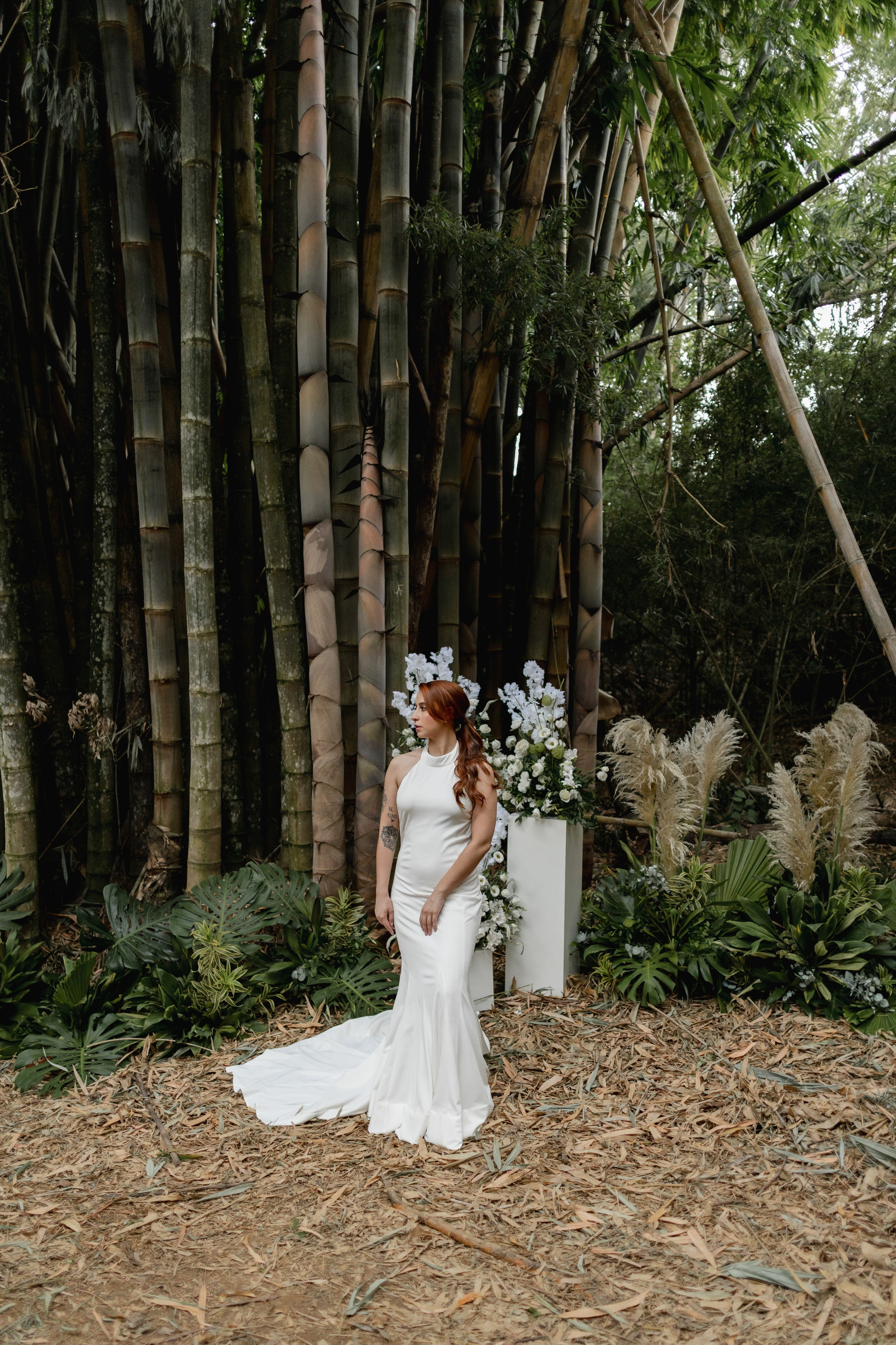 Editorial Dom Brunello