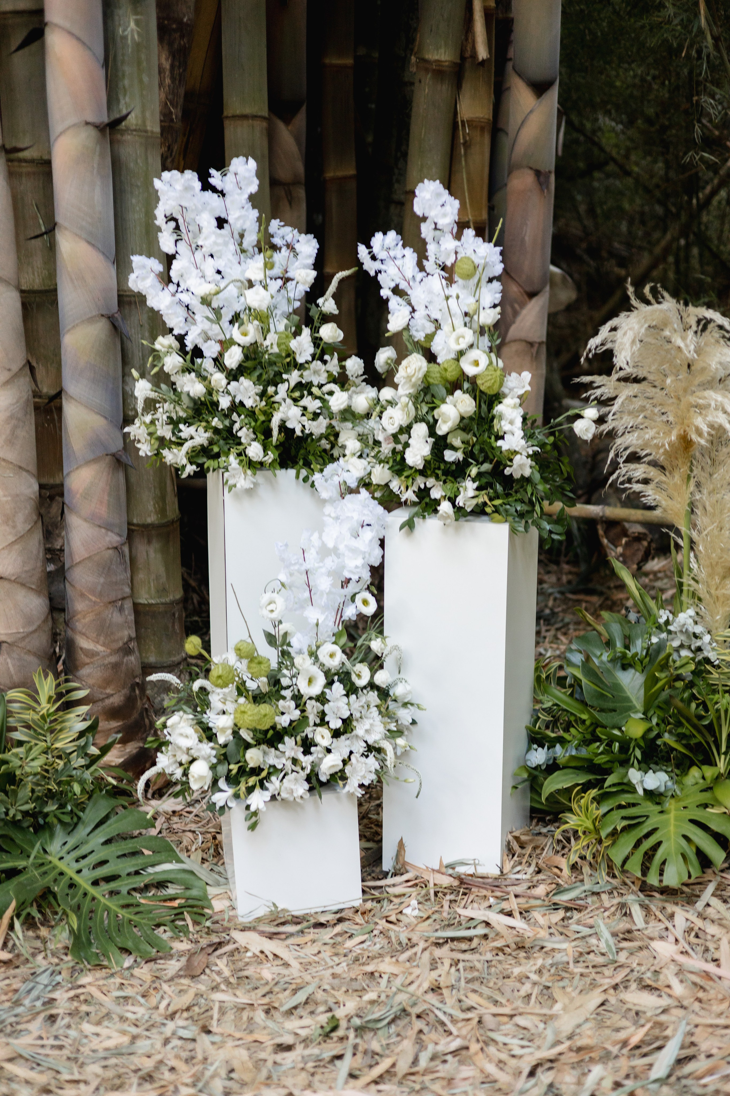 Editorial Dom Brunello