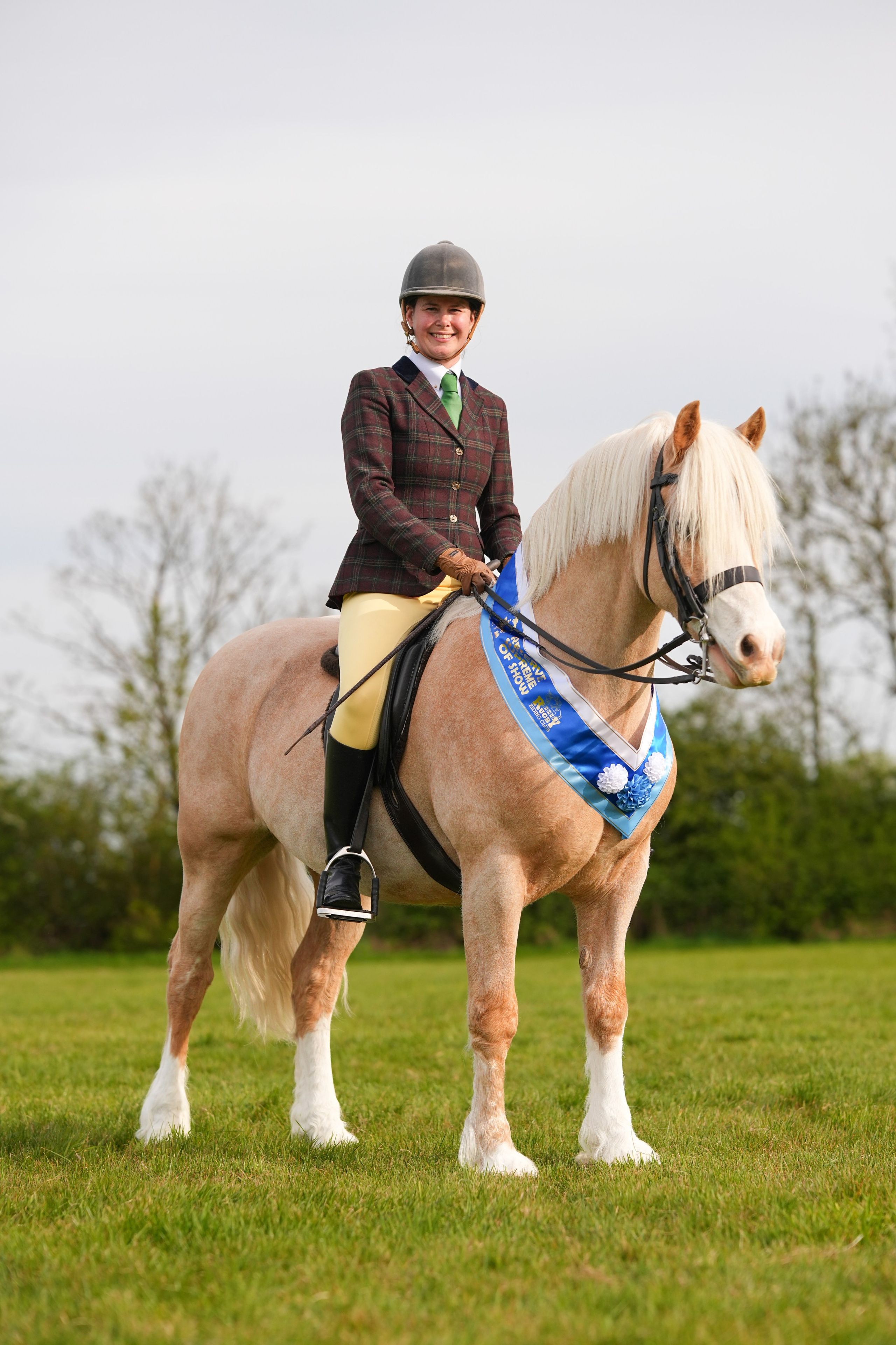 Showing. Leicestershire Equine Photography by El | Authentic Equine Portraits & Events