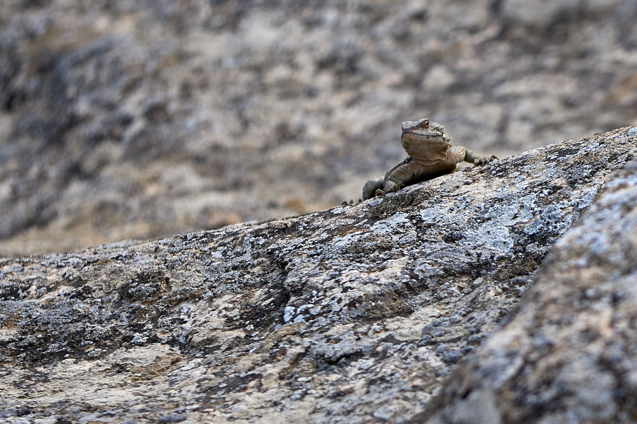 Экскурсия по Гобустану. День 3. Photographer in Baku Kamran Enceladus