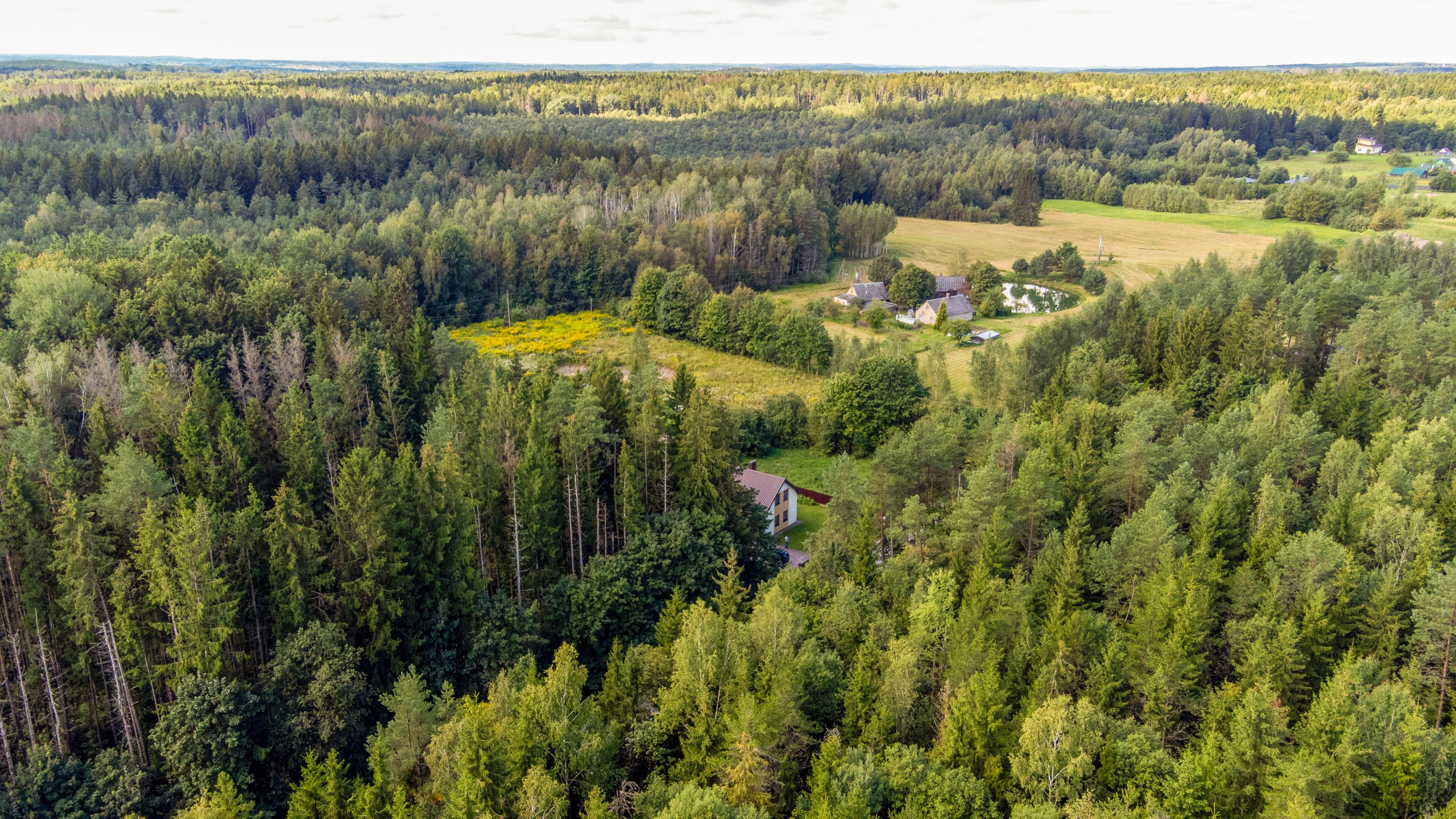 Č. Milošo g. Zujūnai, Vilnius. Elina Sapiega fotografė Vilniuje