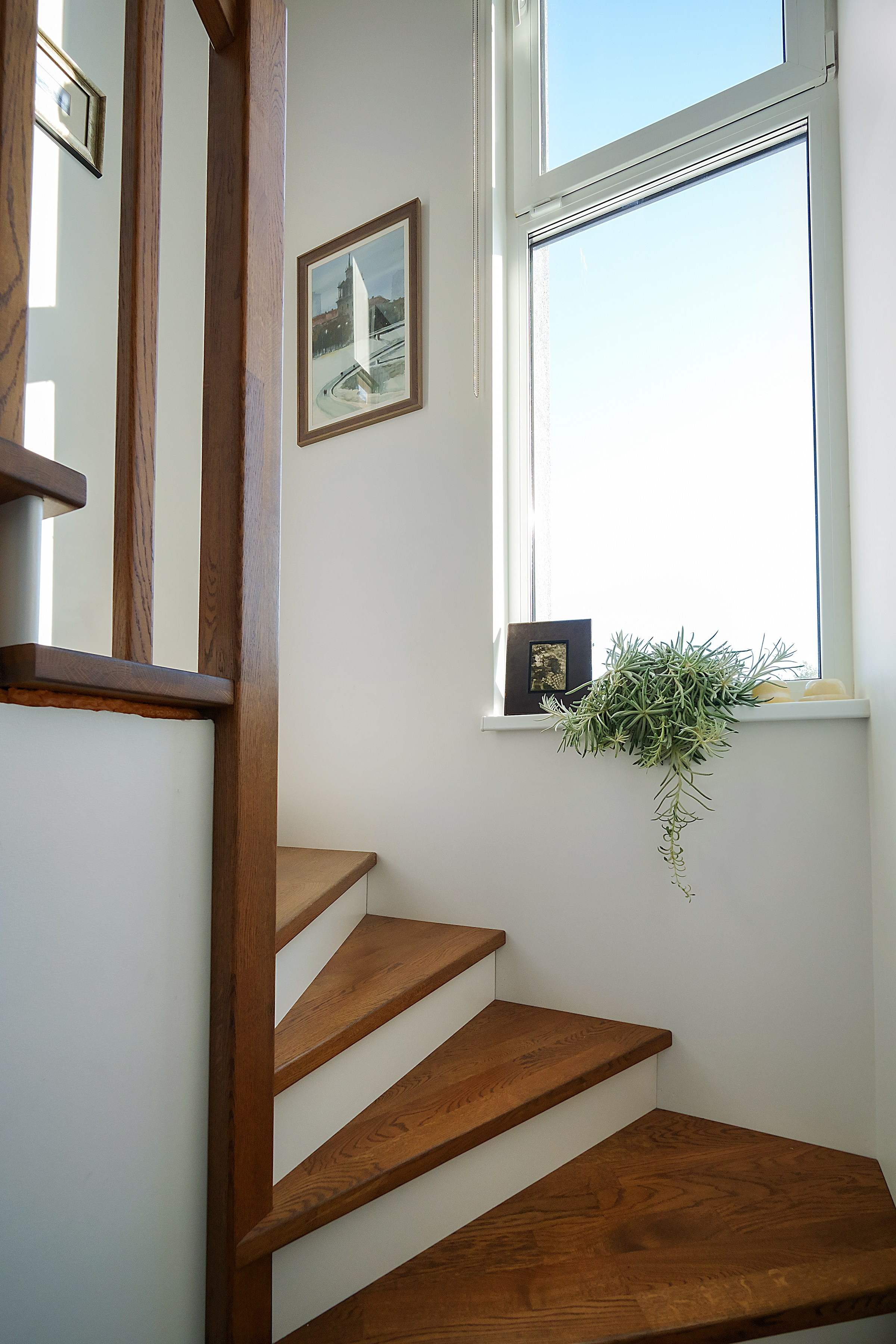 Ginetiškės, Pakonių g. Elina Sapiega fotografė Vilniuje