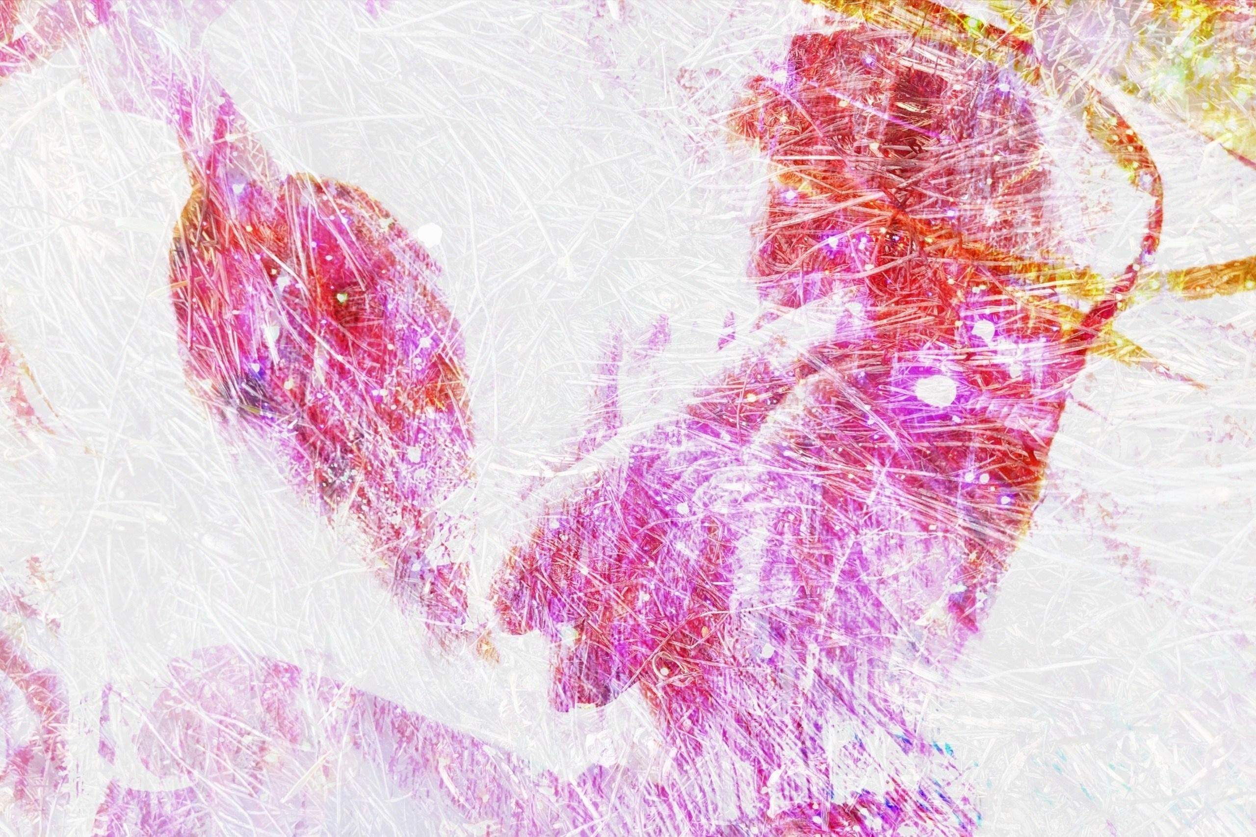 Продаж робіт. Photographer artist Liashenko Oksana