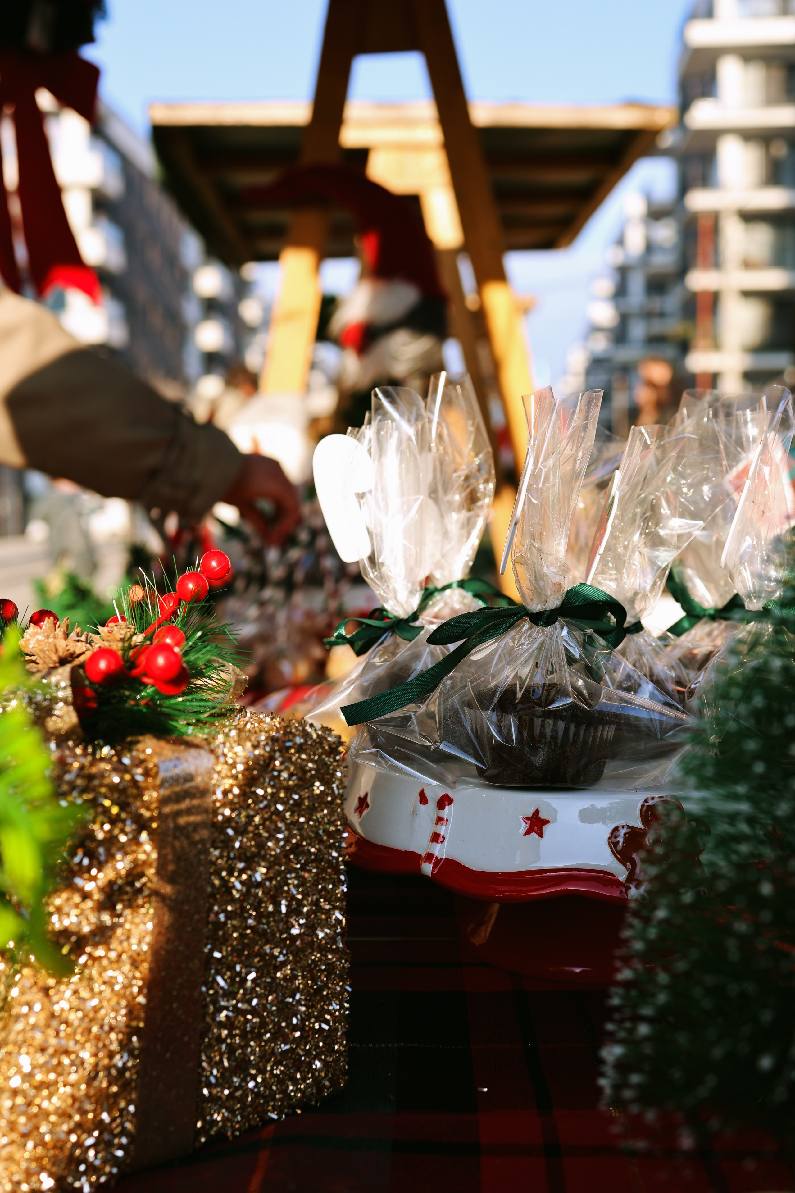 Sunnyville Zimski festival. Marizella Photography