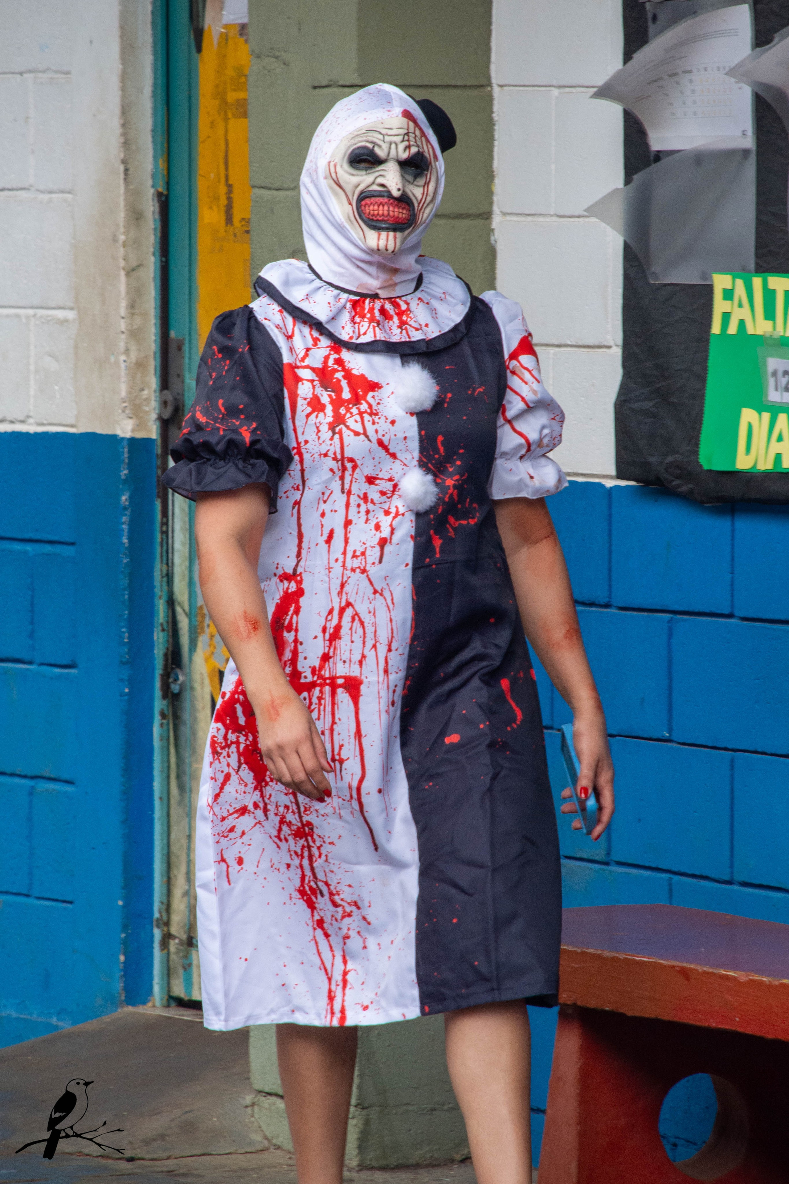 Festa Halloween. AerobirdStudios