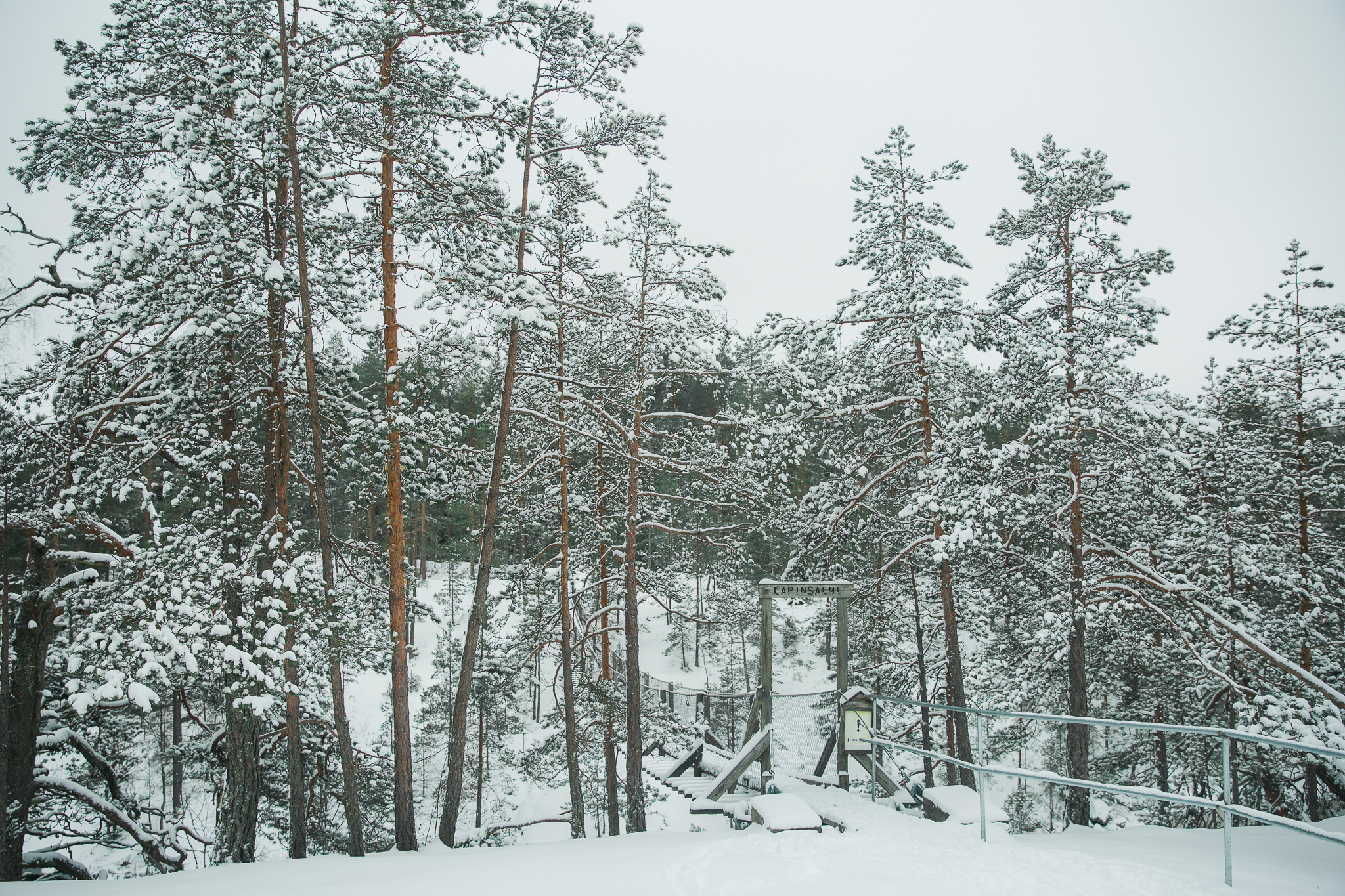 Karoliina ja frederic talvihäät