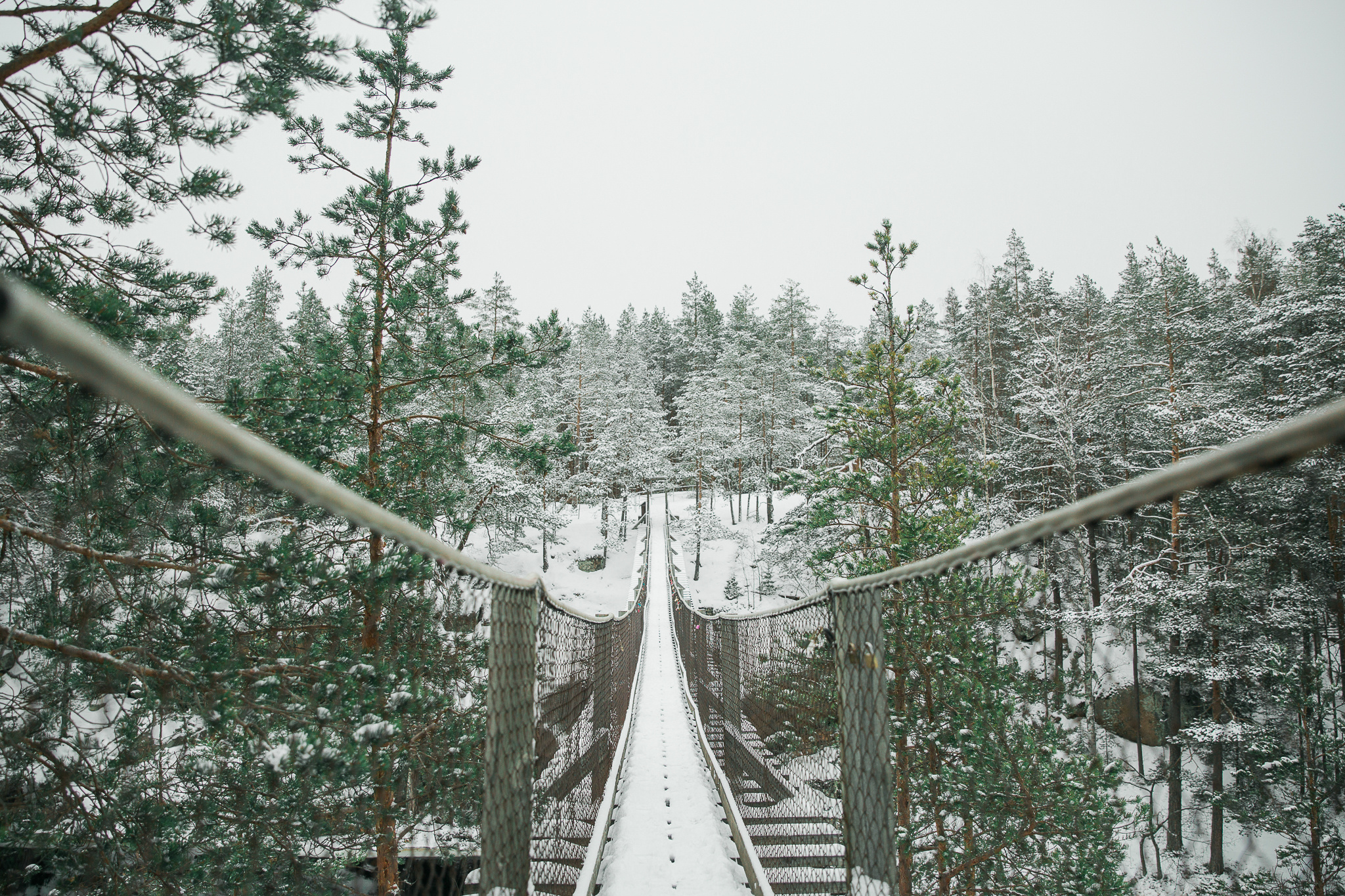 Karoliina ja frederic talvihäät