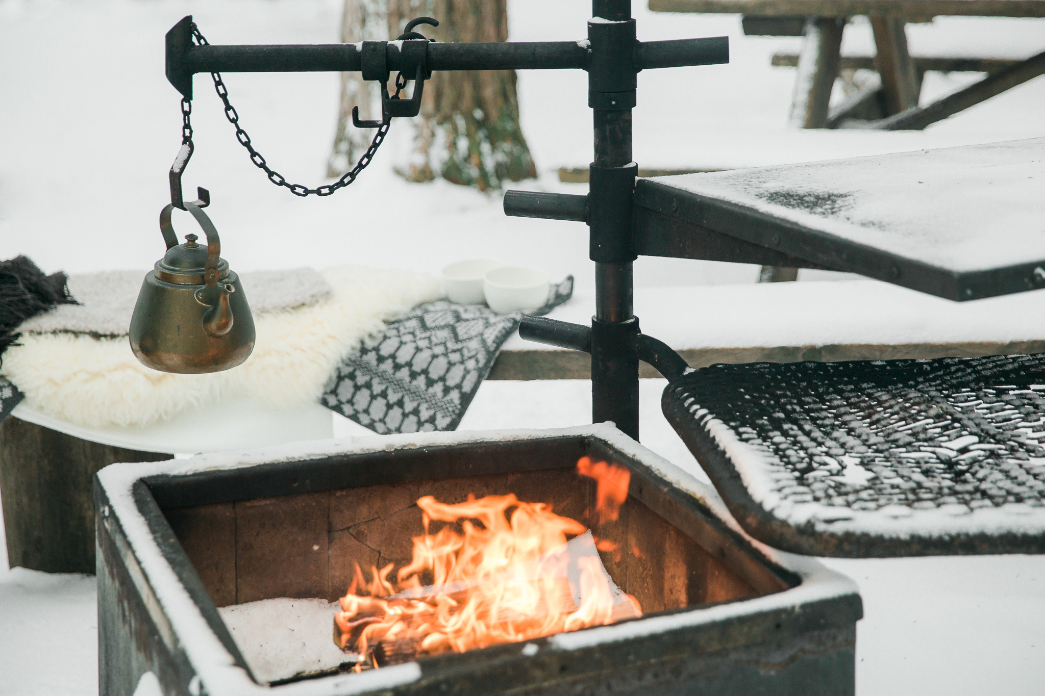 Karoliina ja frederic talvihäät