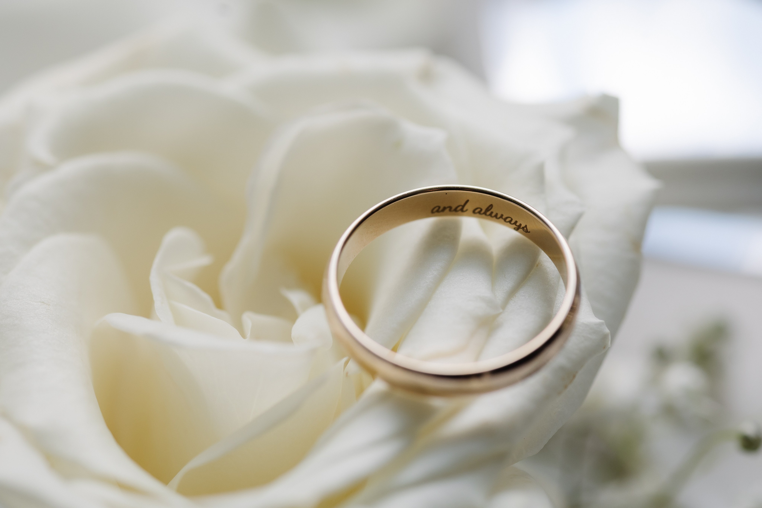 Olivia and Sean, The Mansion at Mountain Lakes, NJ. Wedding Photo & Video