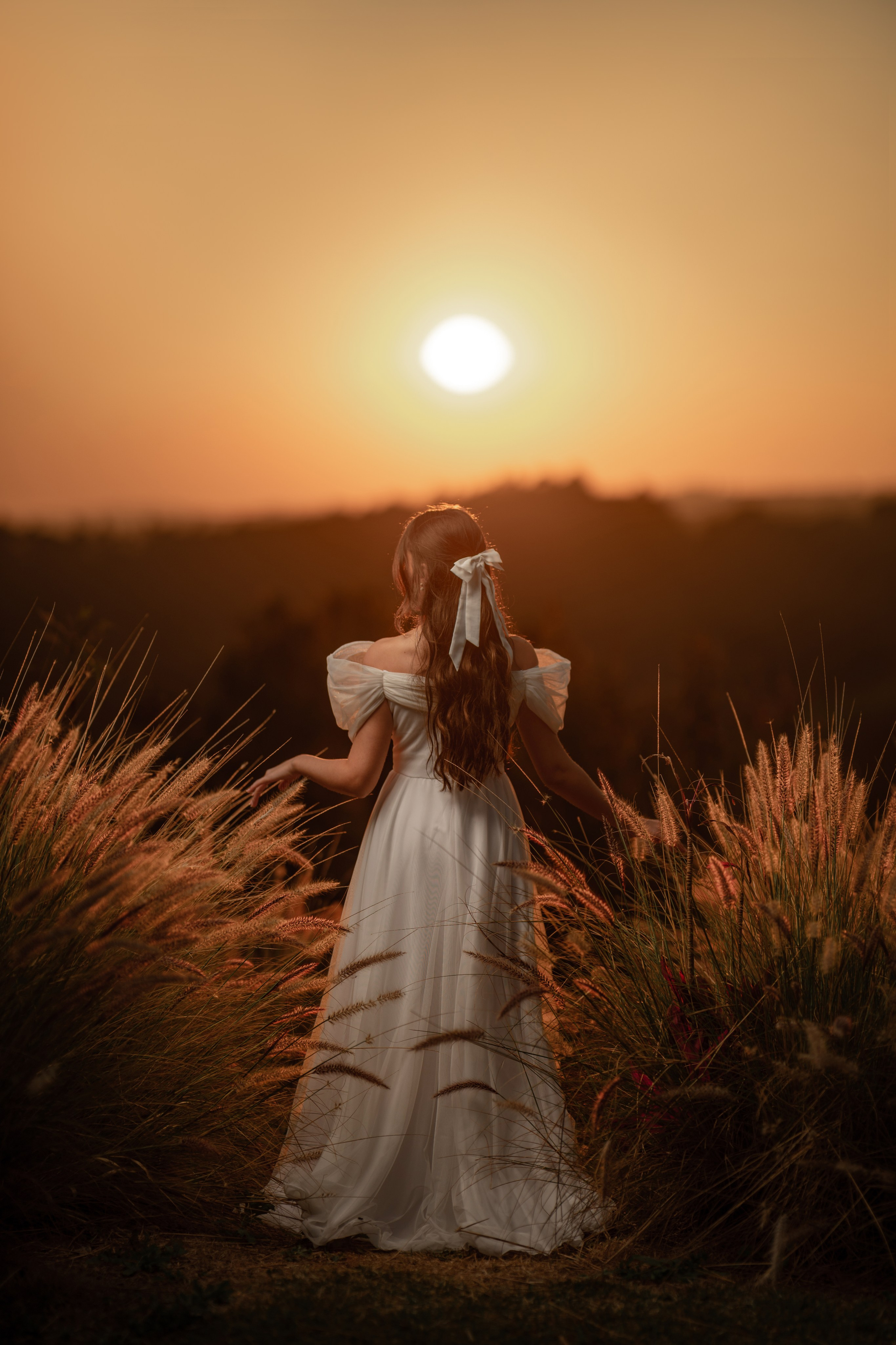 Isabelle15anos.Sitio das borboletas. Fotógrafo de Casamento, grávida, Retrato, Corporativo