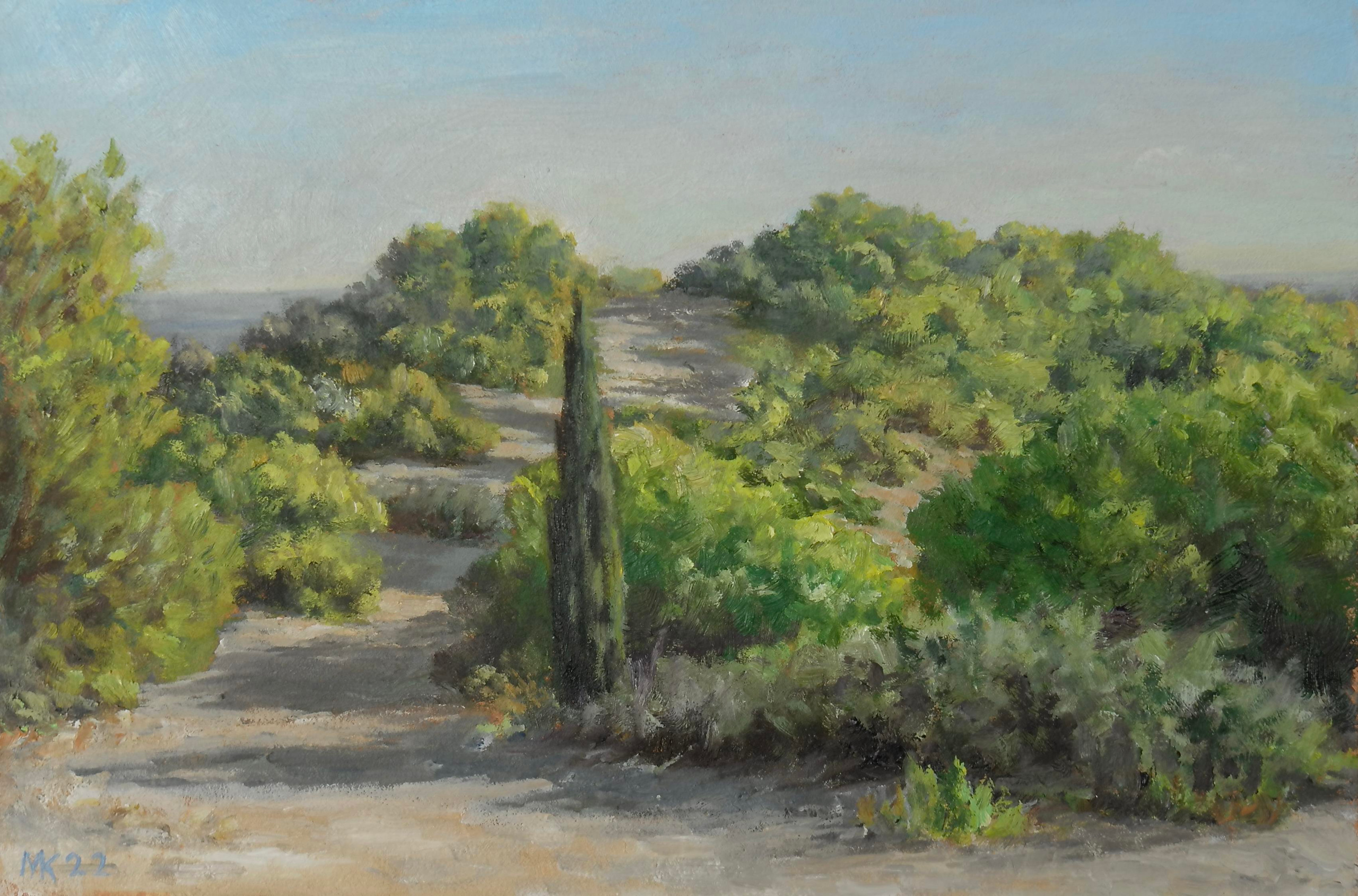 20 X 30, cartón óleo