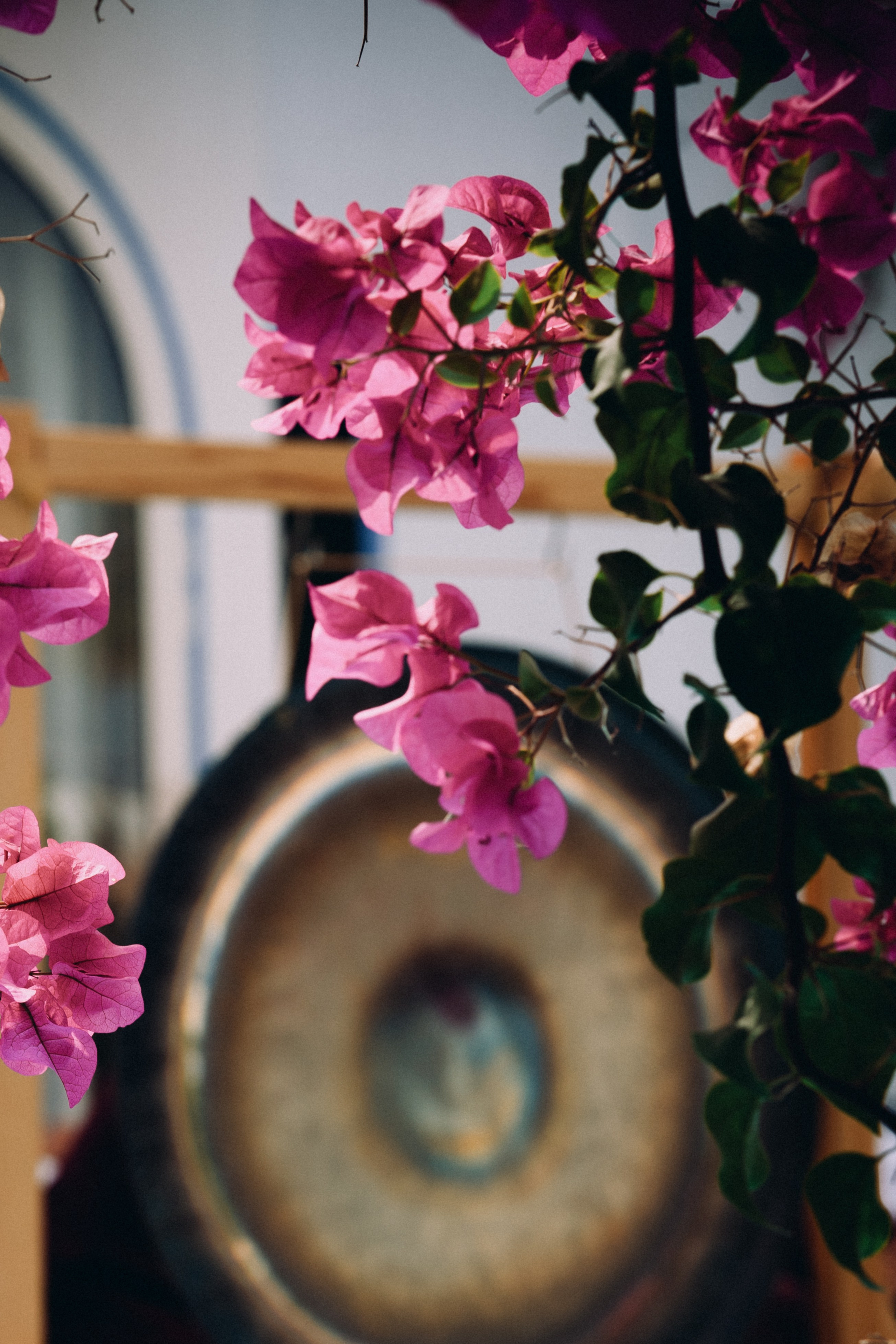 Yoga. Elena Pretzner Photography