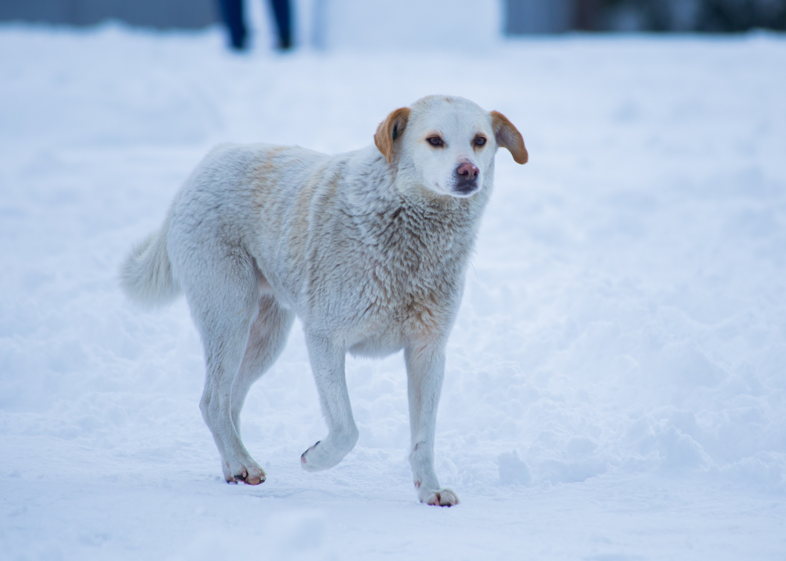 Urban. PHOTOSTORYNIKA