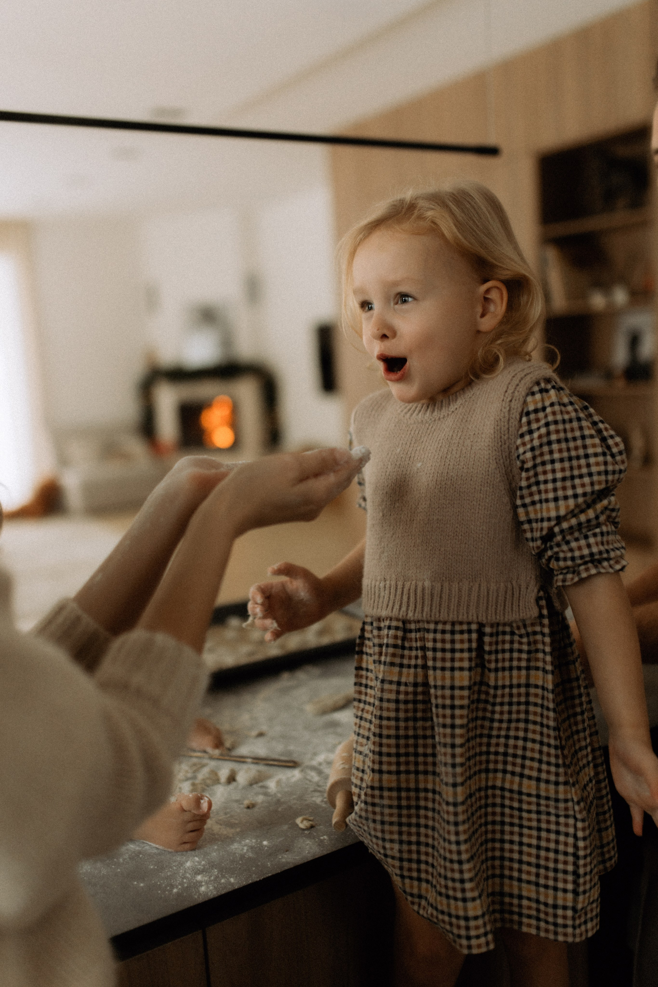 Šventinė šeimos fotosesija | NAMAI. Vestuvių ir šeimų fotografė Lena Bondarenko / belove photo