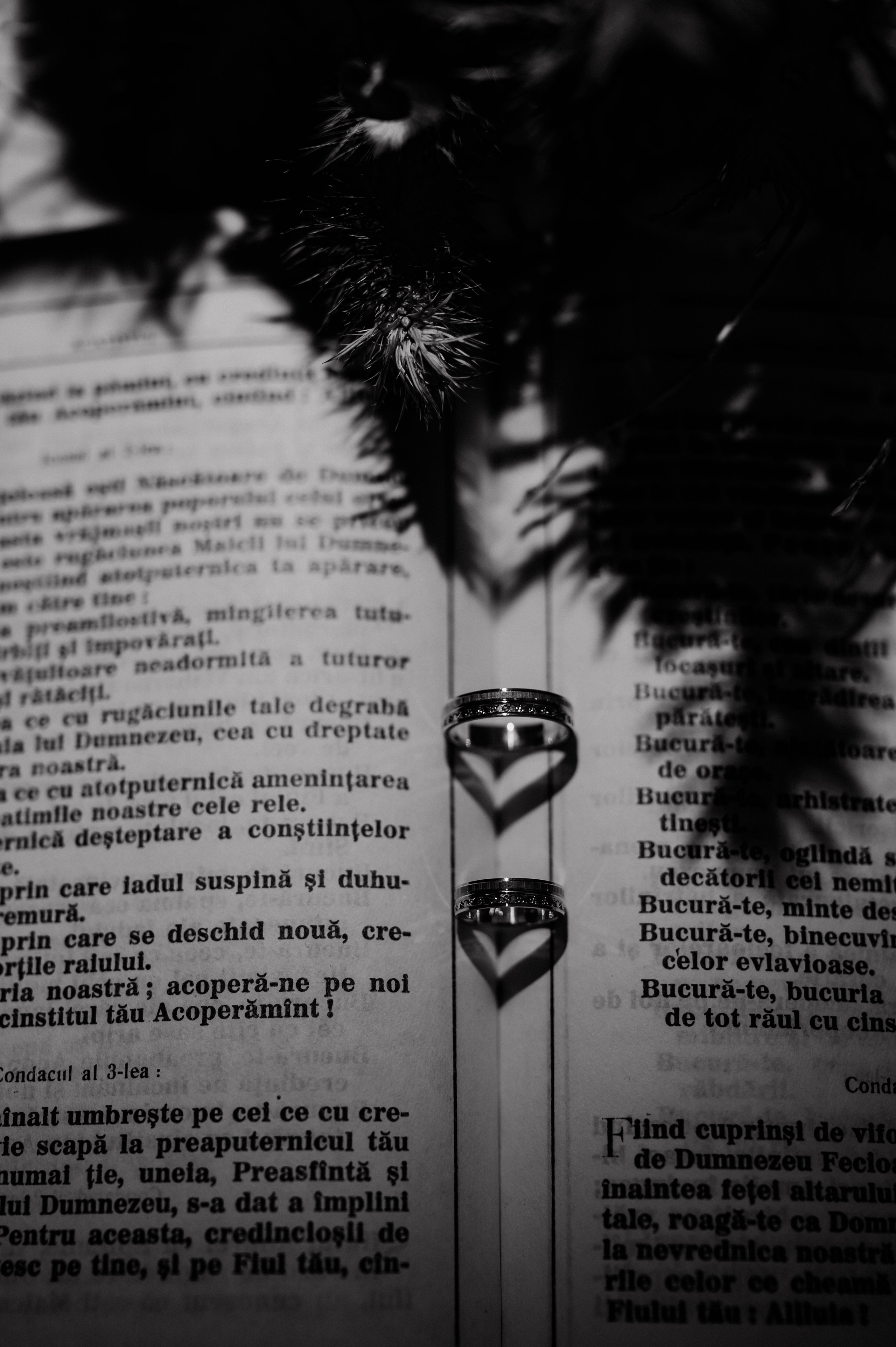 Album nunta. Fotografie & Videografie evenimente - Suceava, Romania