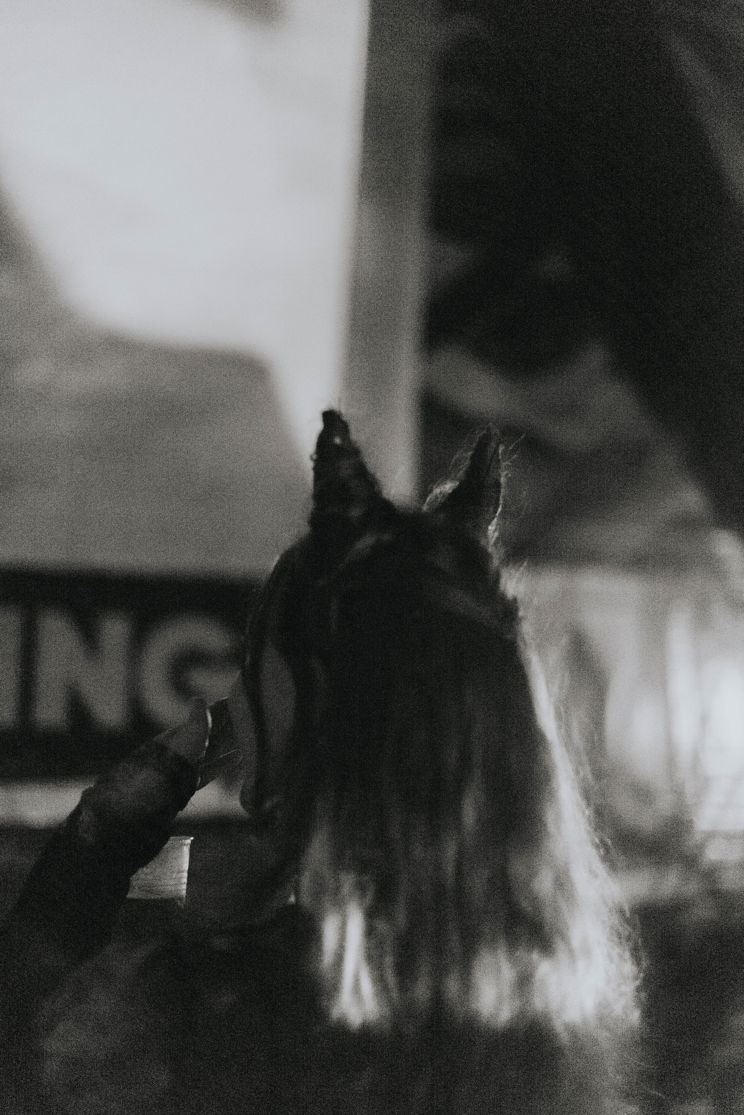 Ladno.cooperativa. Photographer @elmirkami in the city of Buenos Aires