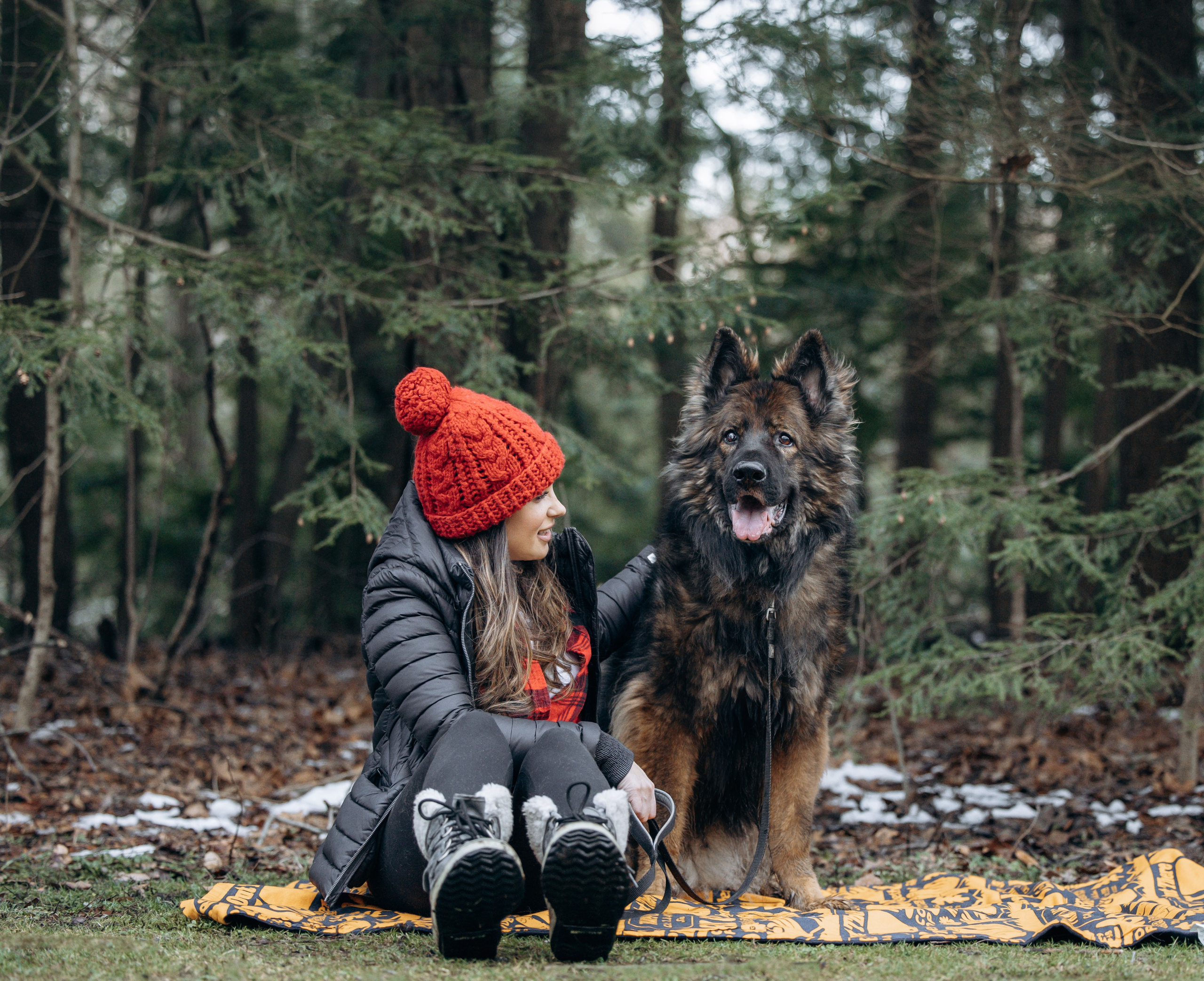 Ezra & Laura. Pet Photographer Viktoriya Aleshenko